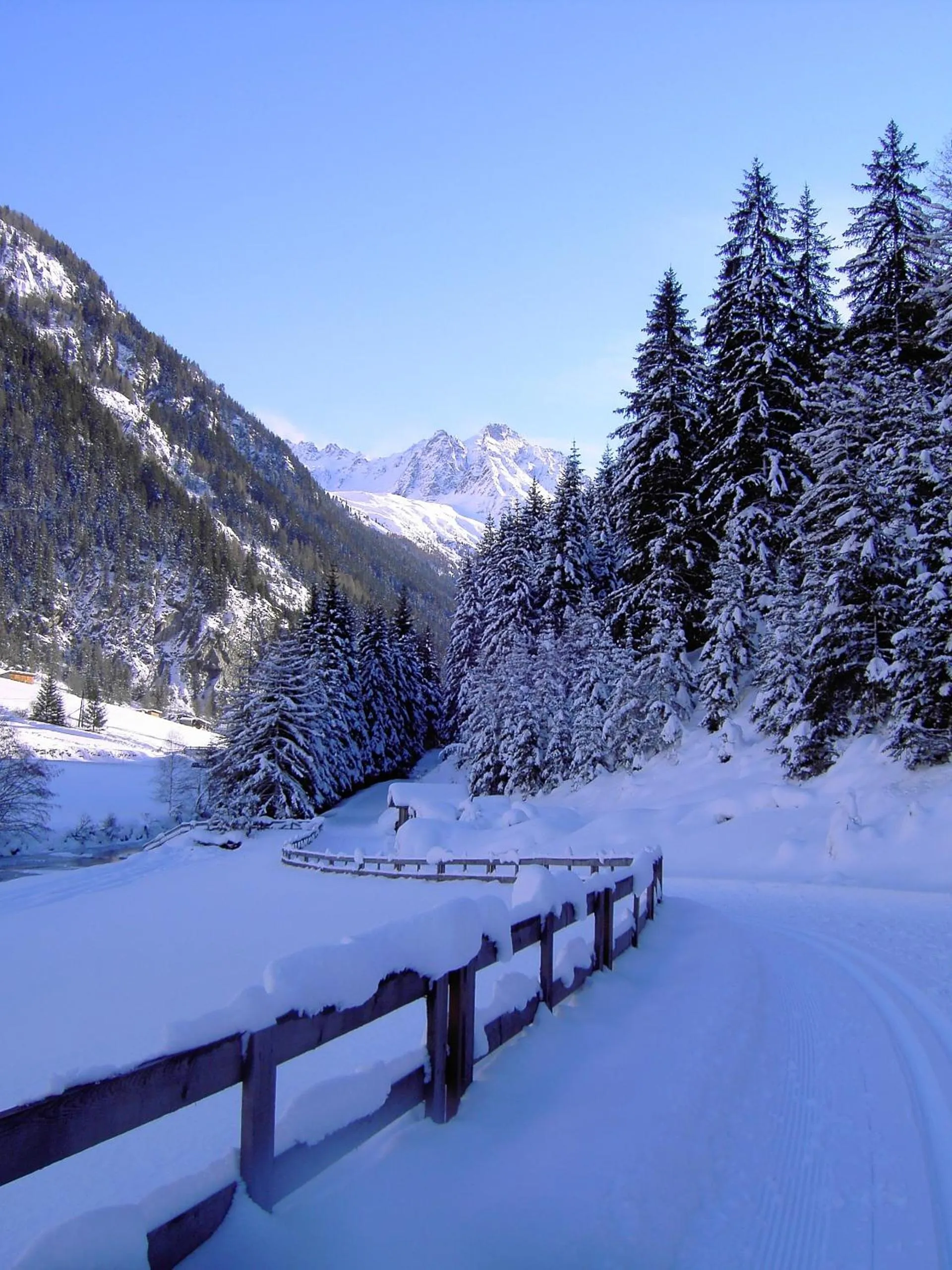 Skiing in Hotel Wiese