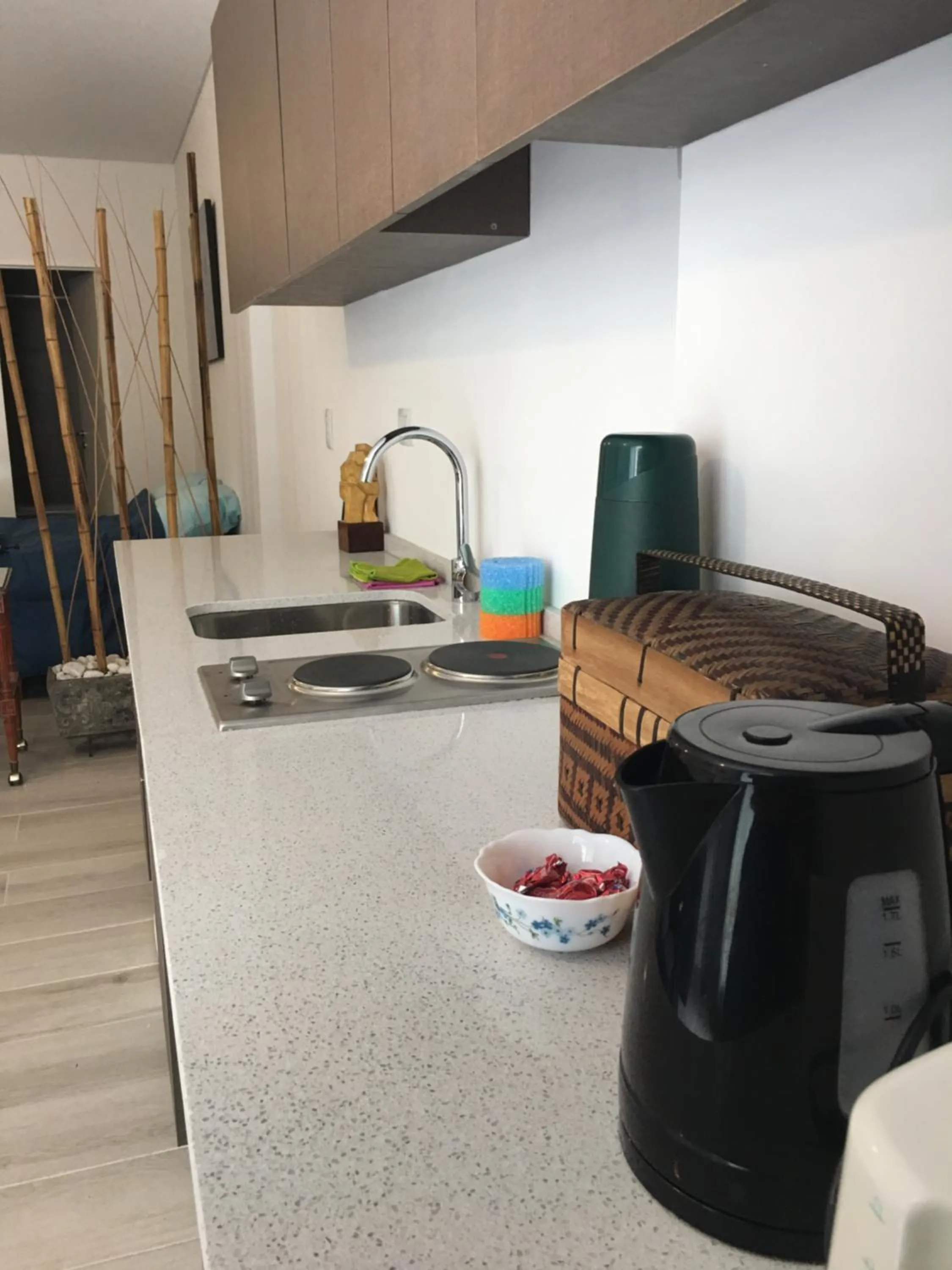 Kitchen or kitchenette in New Apartment in Recoleta