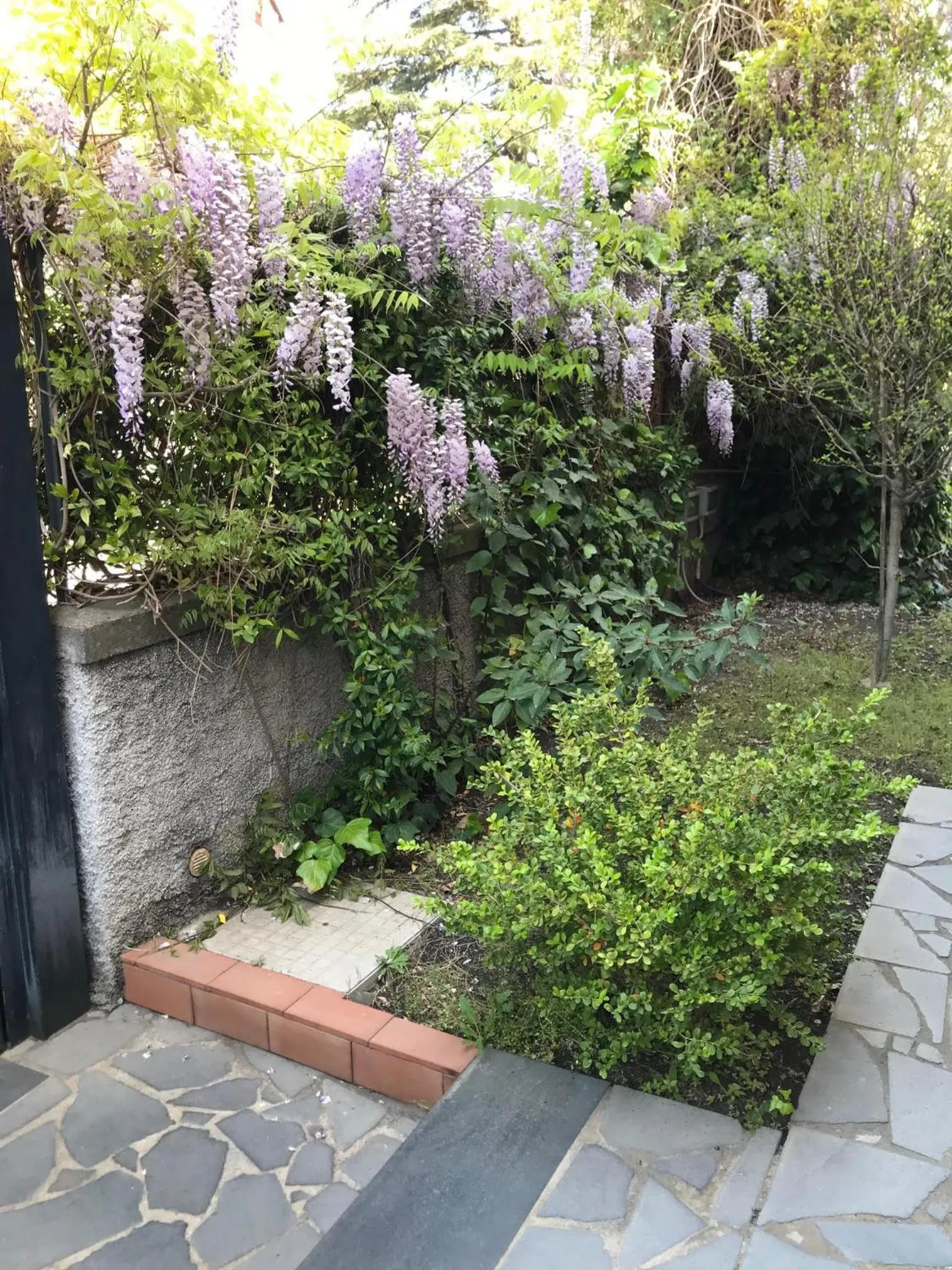 Property building in B&B La Rena Rossa