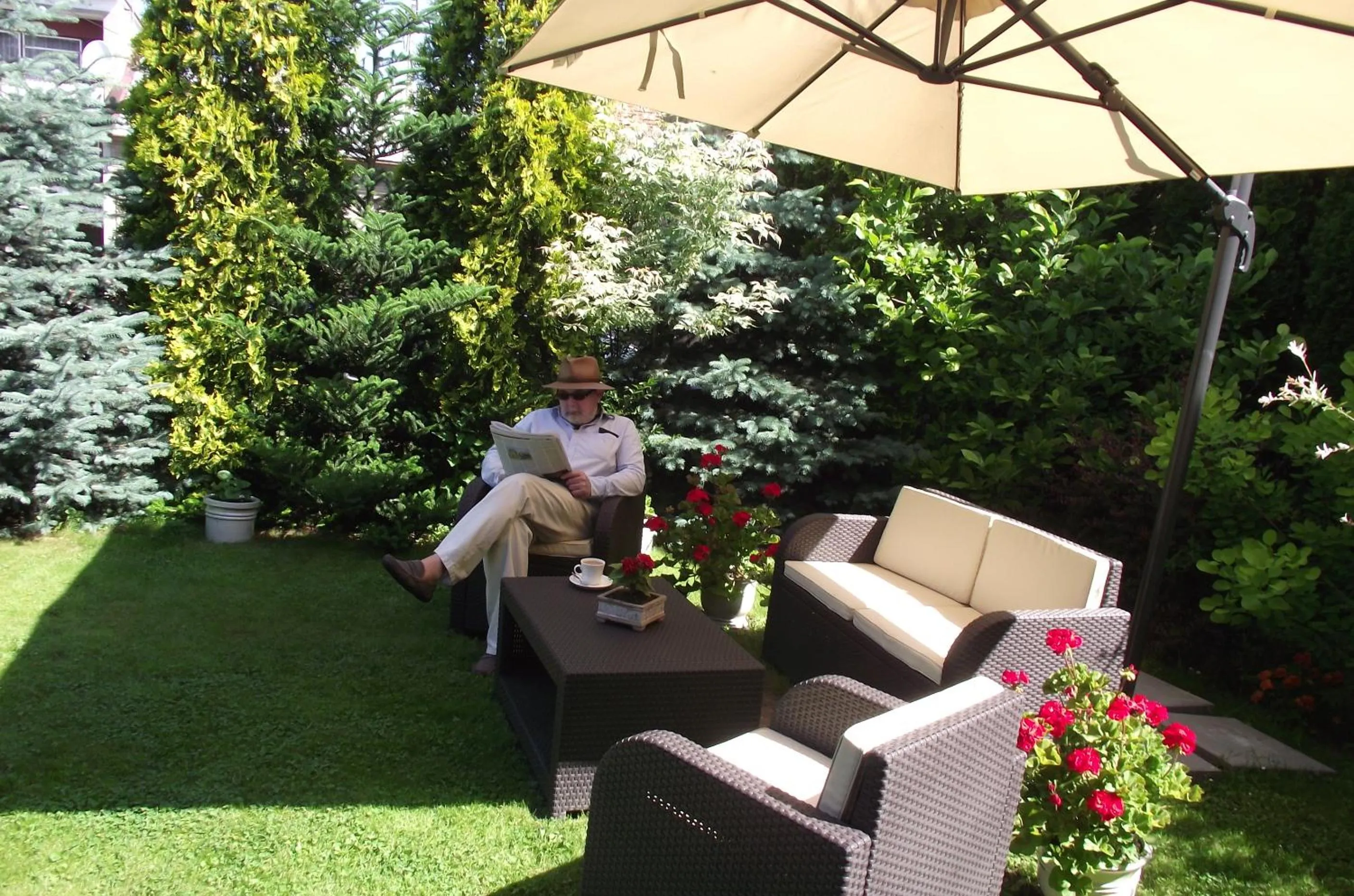 Garden in Villa Del Arte Bed & Breakfast