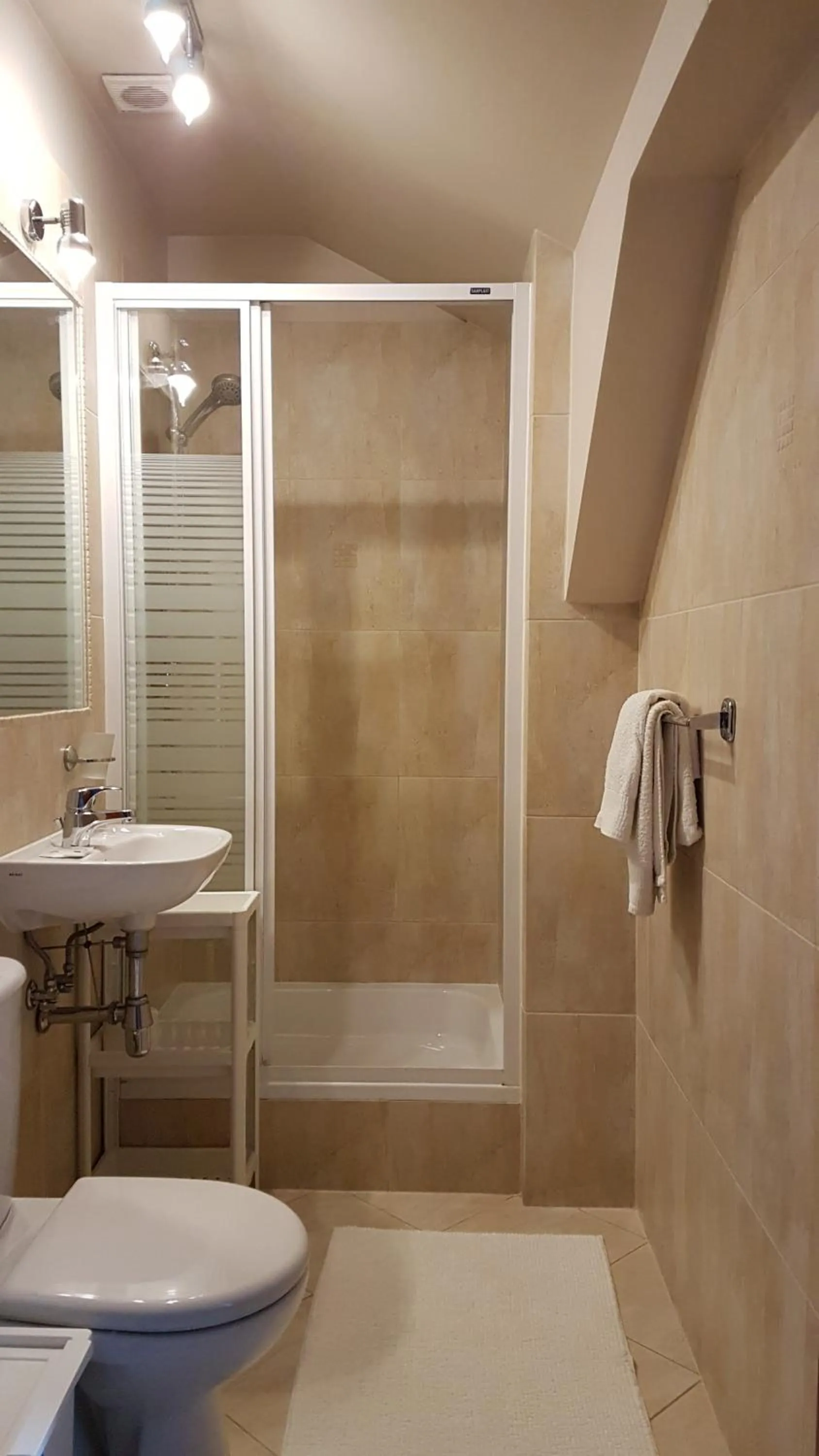 Shower in Villa Del Arte Bed & Breakfast