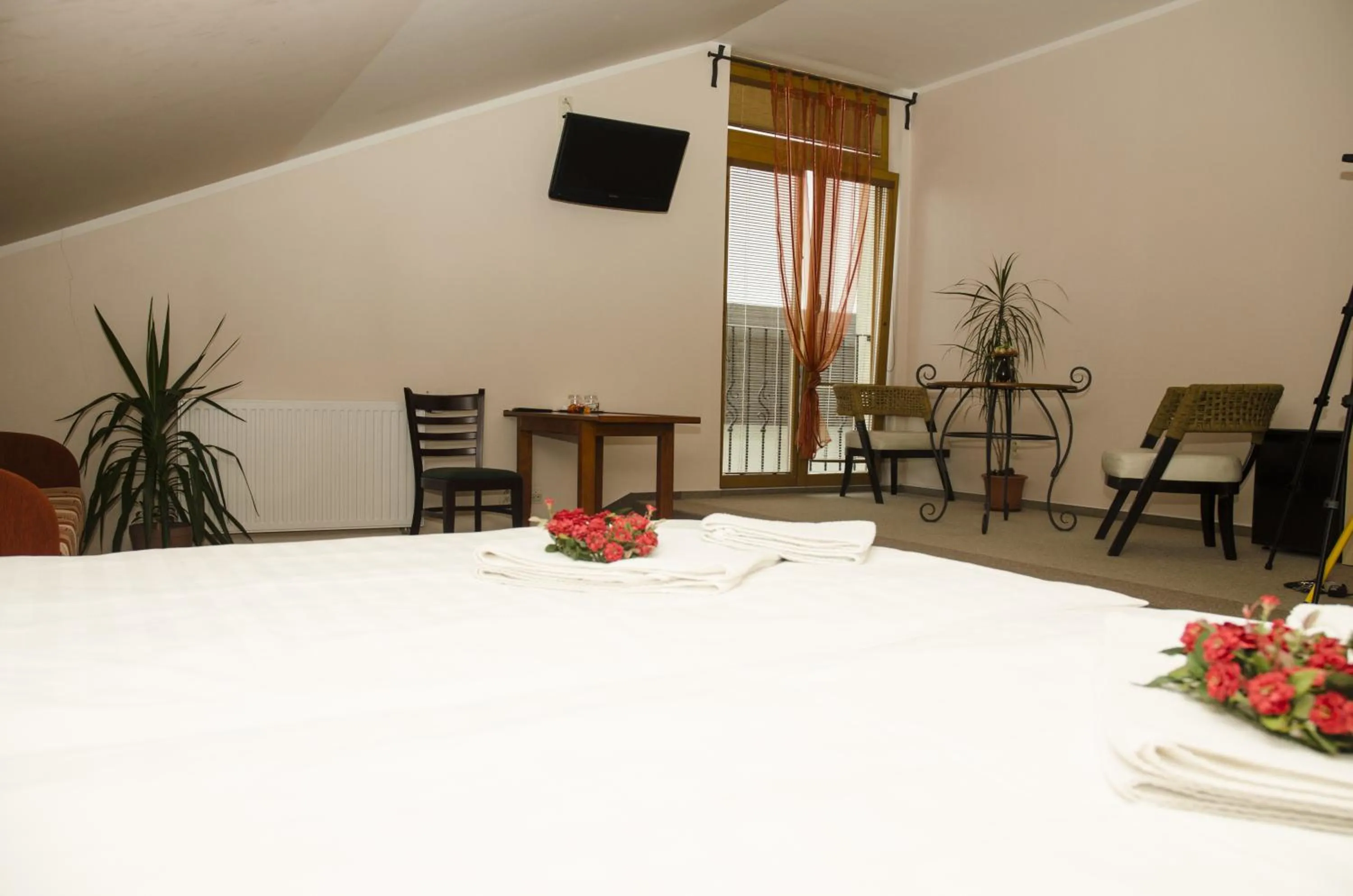 Photo of the whole room in Hotel & restaurant SIGNAL