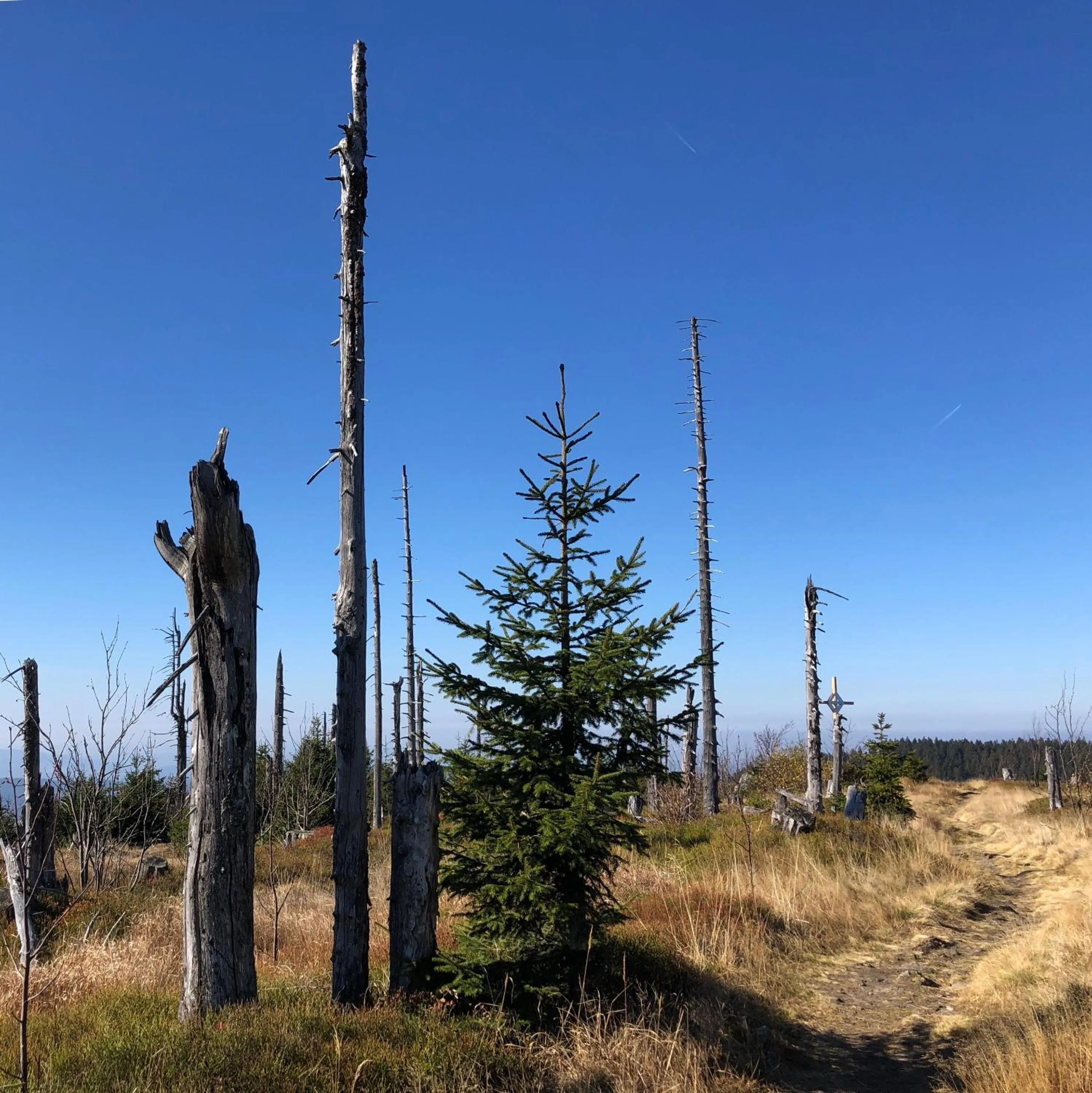 Hiking in Wellnesshotel Riedlberg