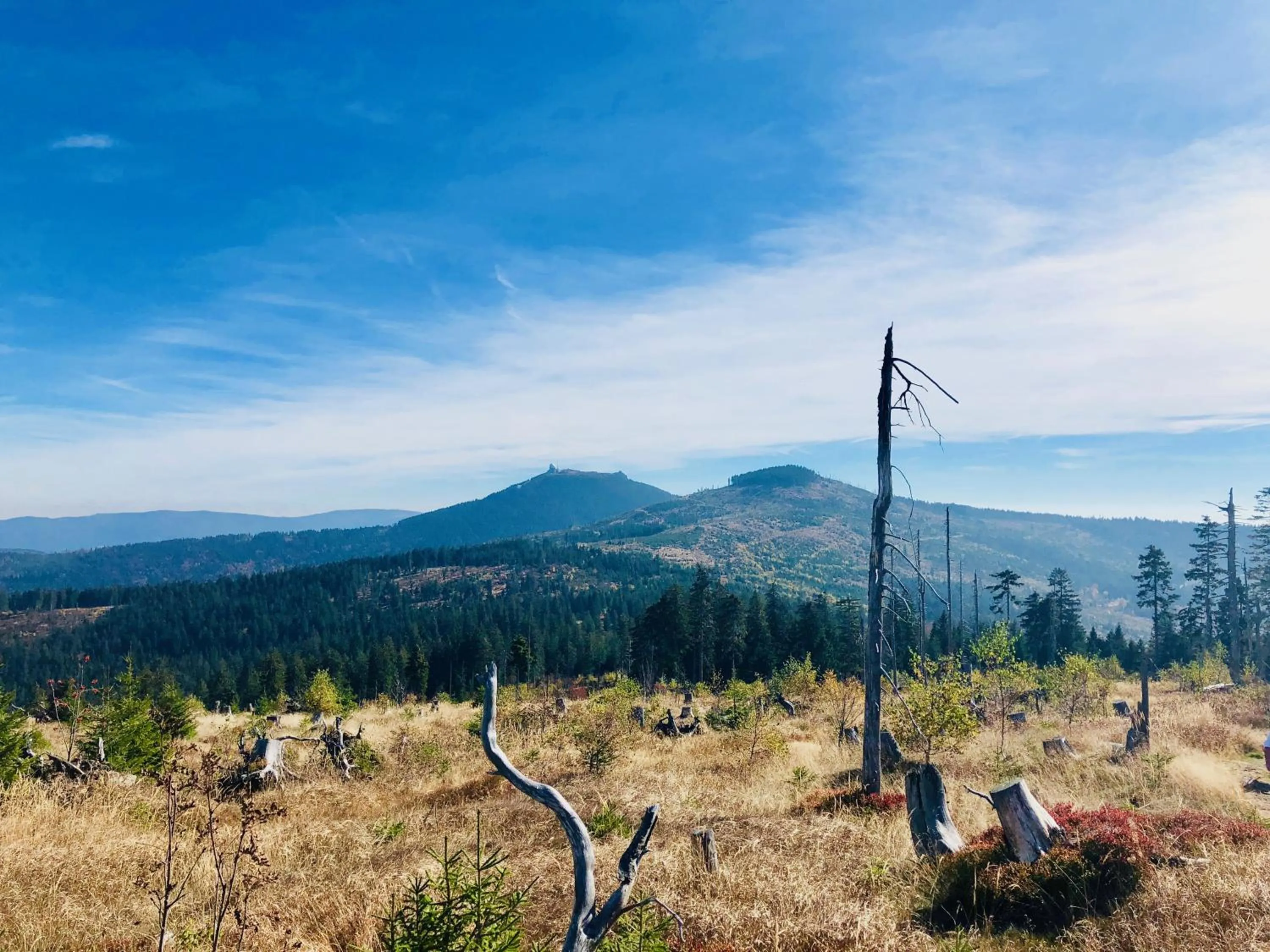 Hiking in Wellnesshotel Riedlberg