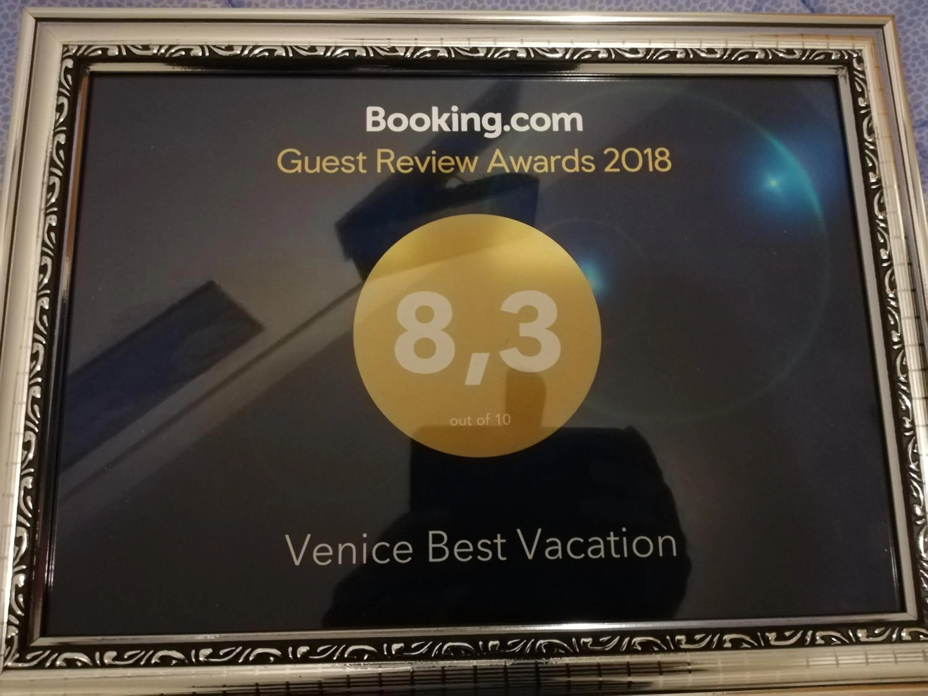 Activities in Venice Best Vacation