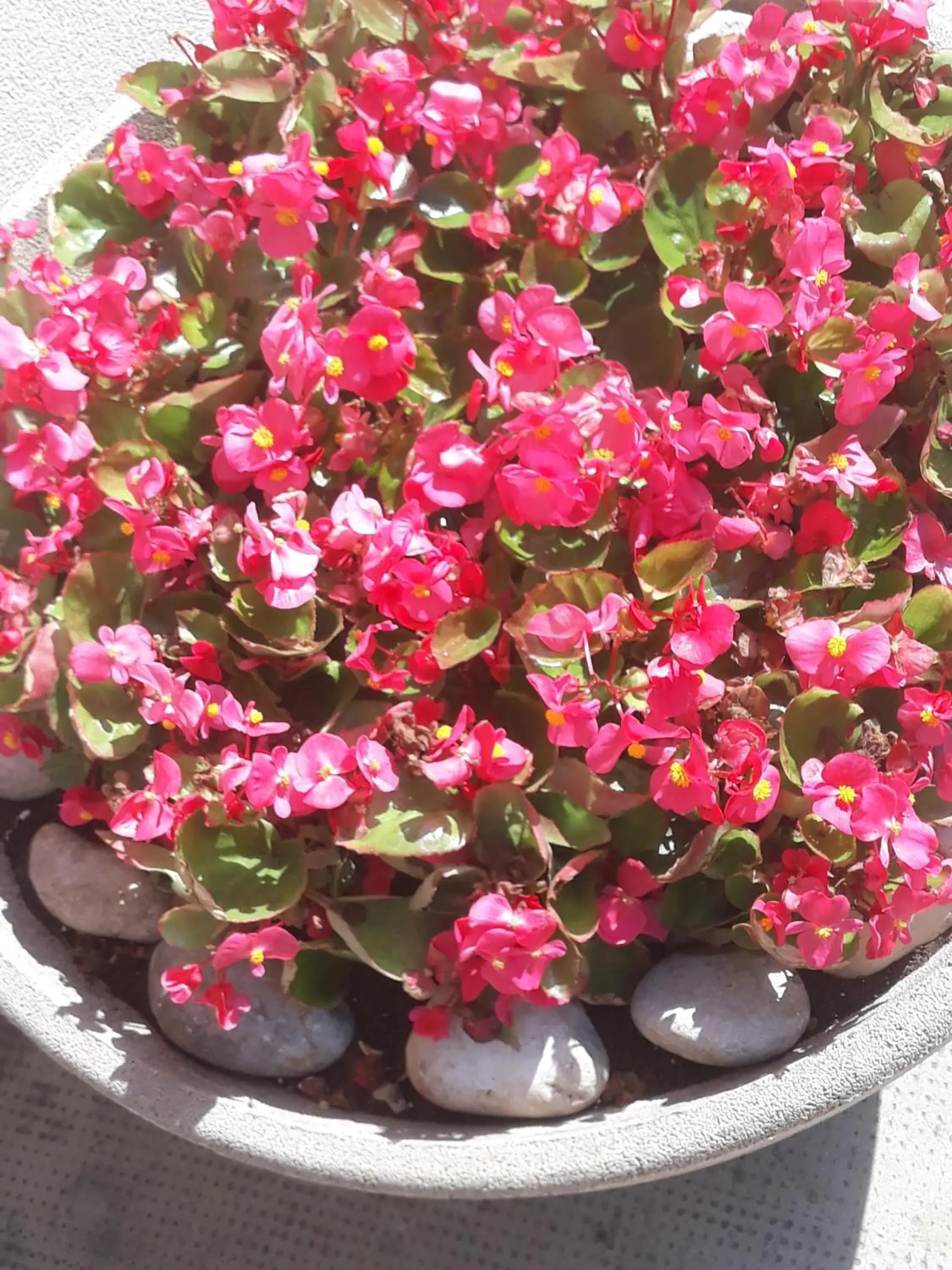 Facade/entrance in Ca' Concordia Venice Facade/entrance in Ca' Concordia Venice