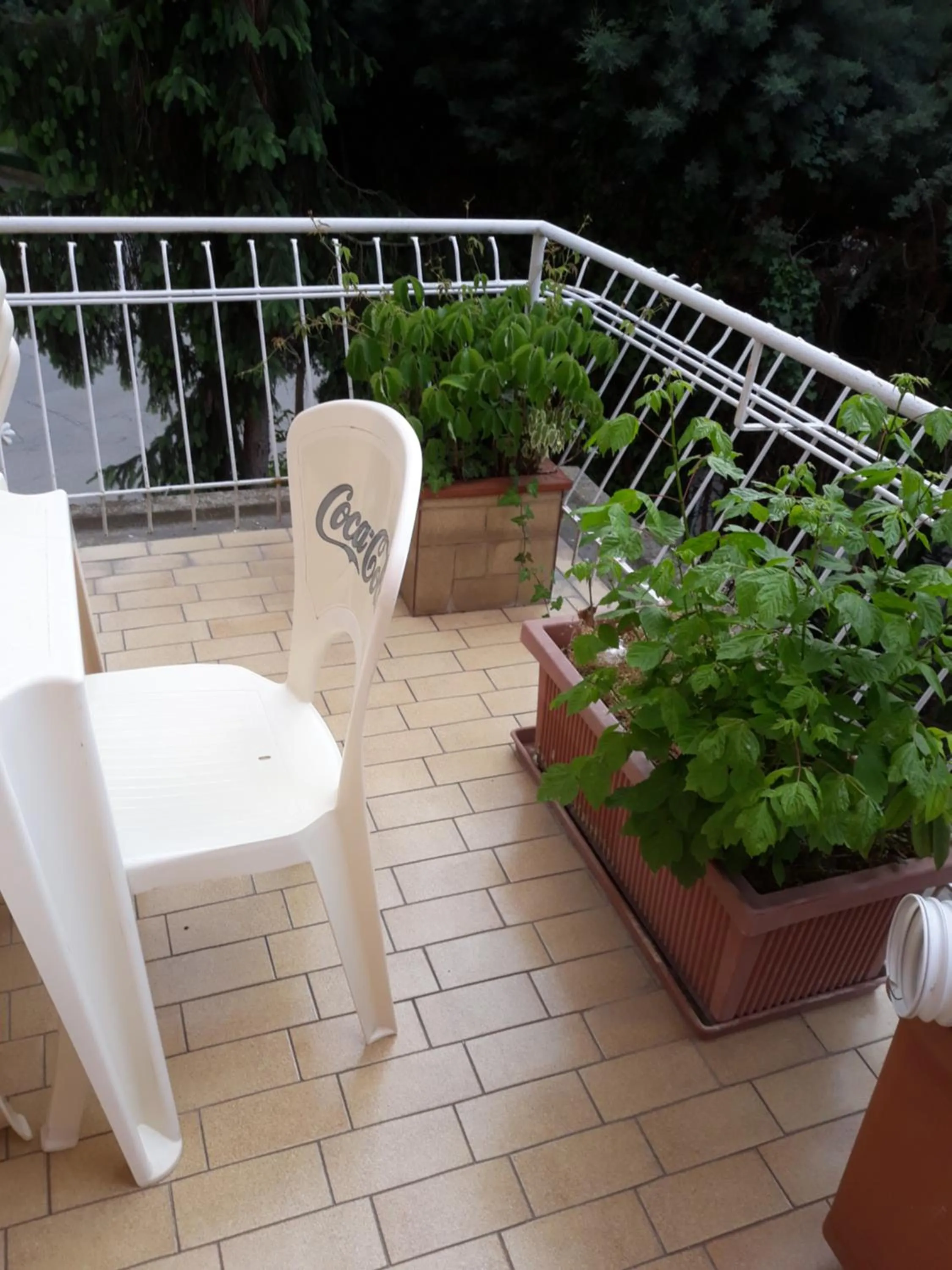 Balcony/Terrace in Venice Best Vacation