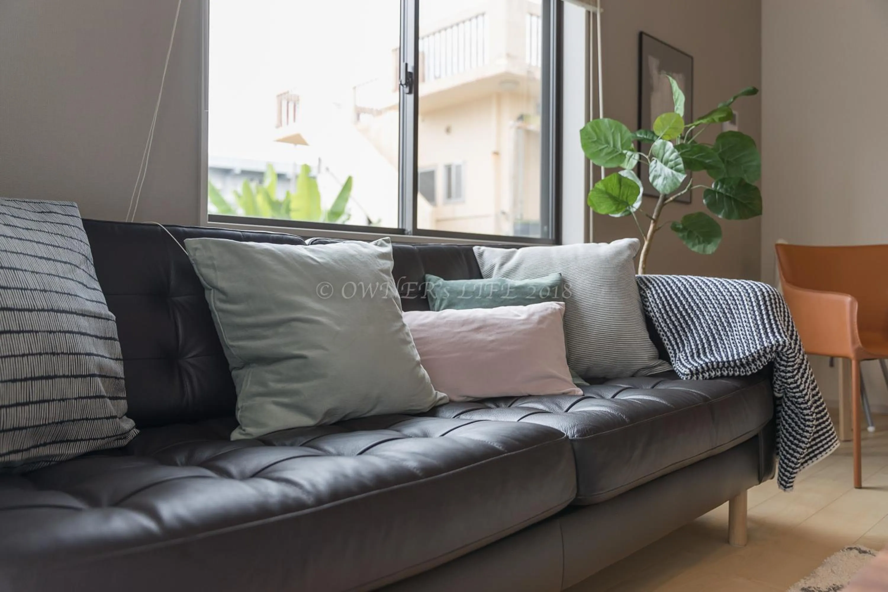 Living room in Condominium Mahalo