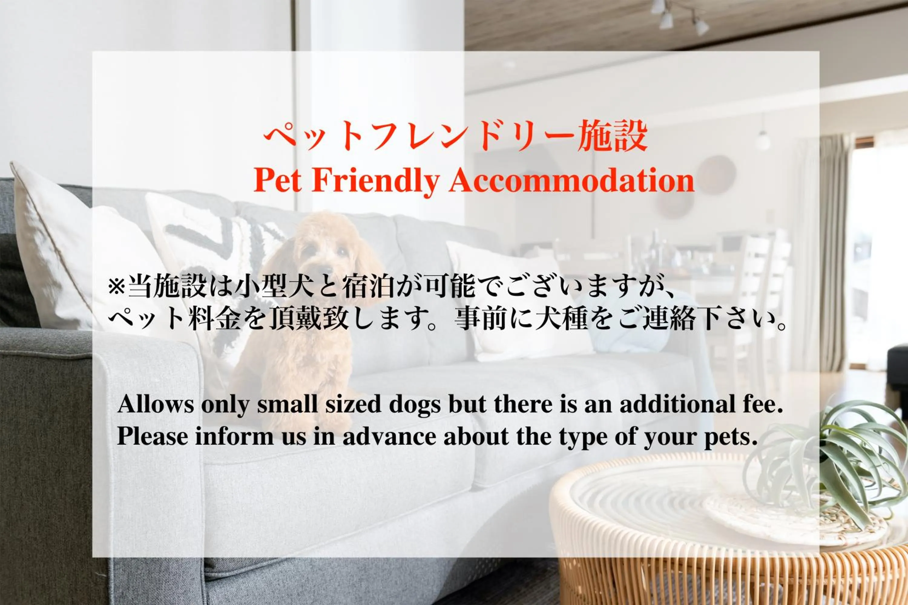 Animals in Condominium Mahalo