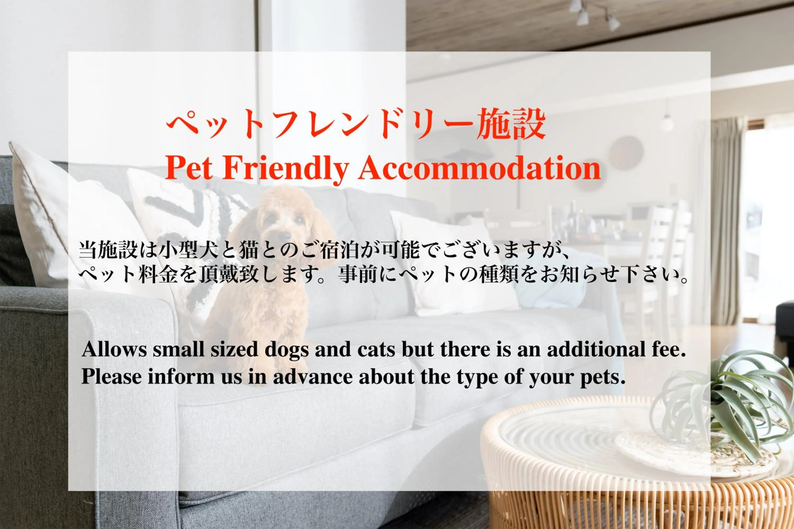 Pets in Condominium Palace Resort Chatan II