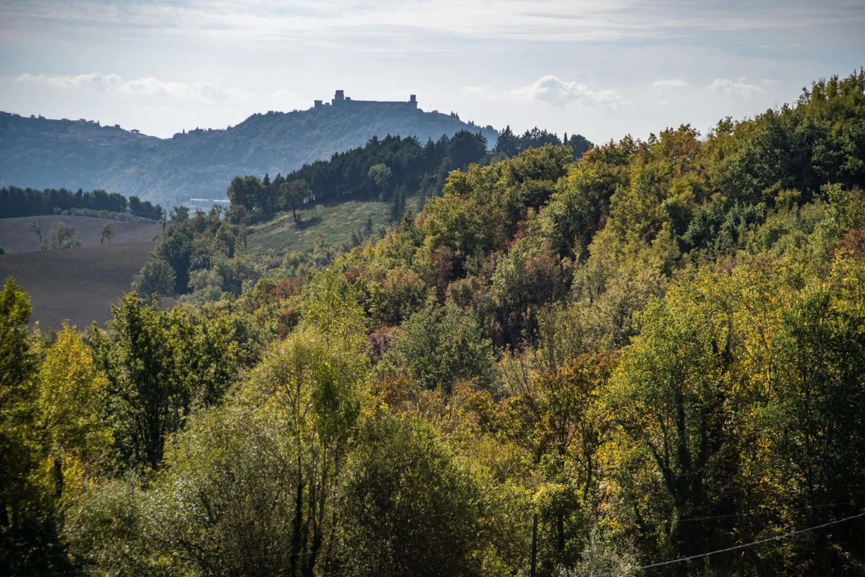 View (from property/room) in Re Artù Assisi Country Lifestyle