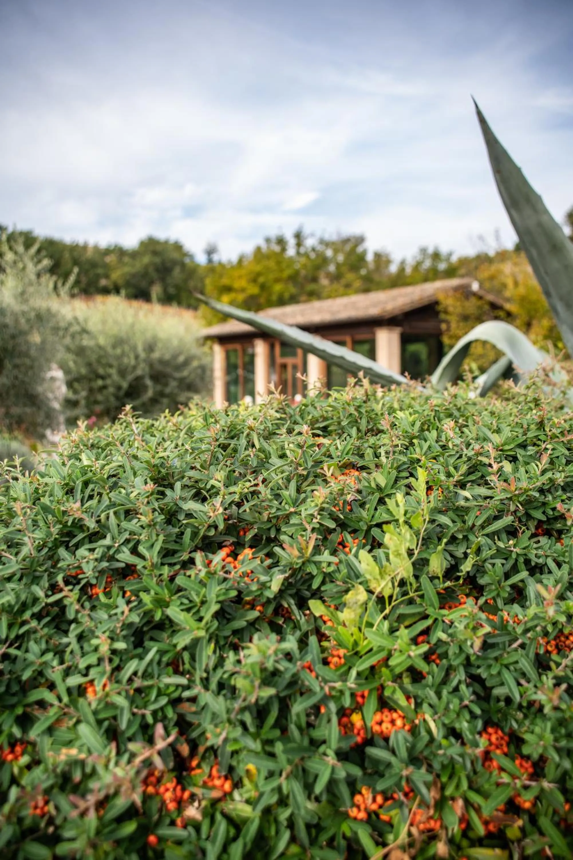 Lobby or reception in Re Artù Assisi Country Lifestyle