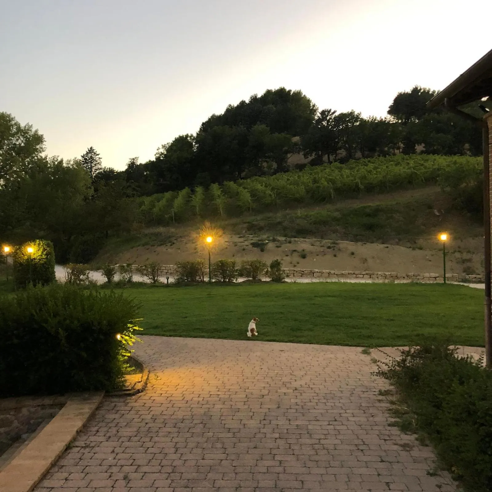 Garden in Re Artù Assisi Country Lifestyle