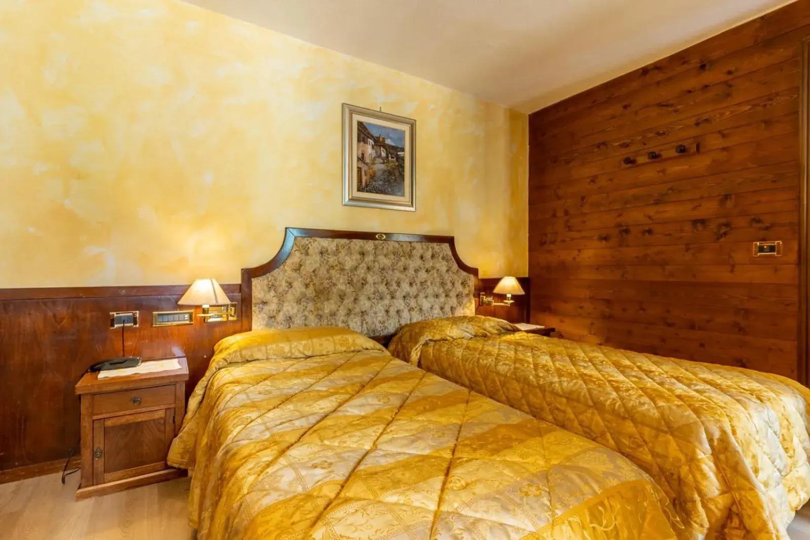 Standard Double Room in Hotel Des Alpes Standard Double Room in Hotel Des Alpes