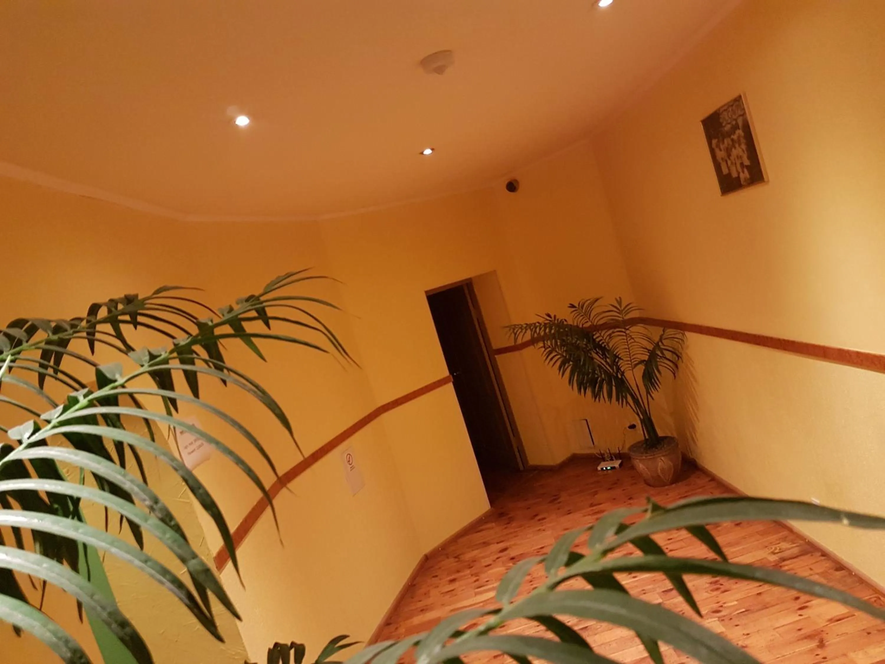 Other in Hotel Erfolg