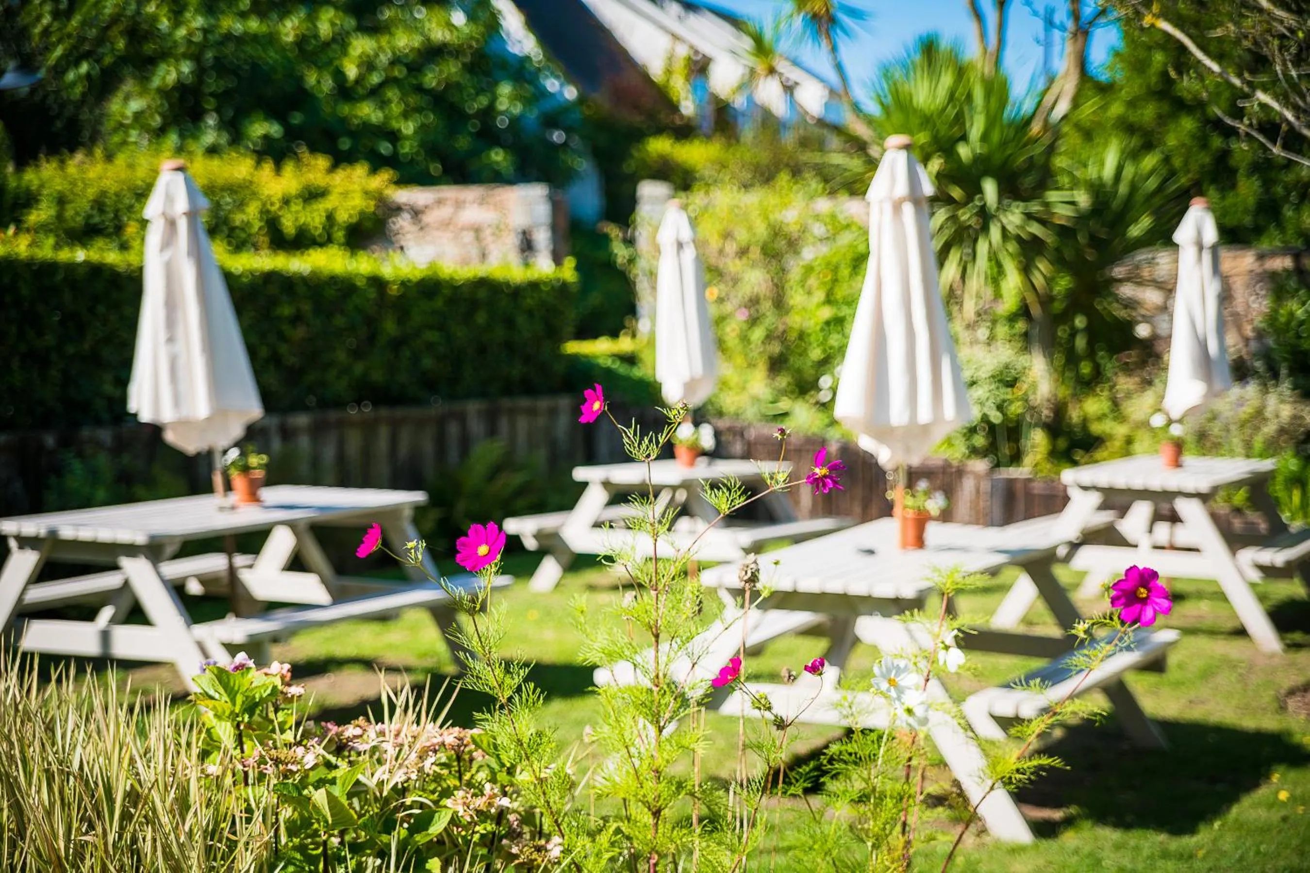 Day in Fleur Du Jardin