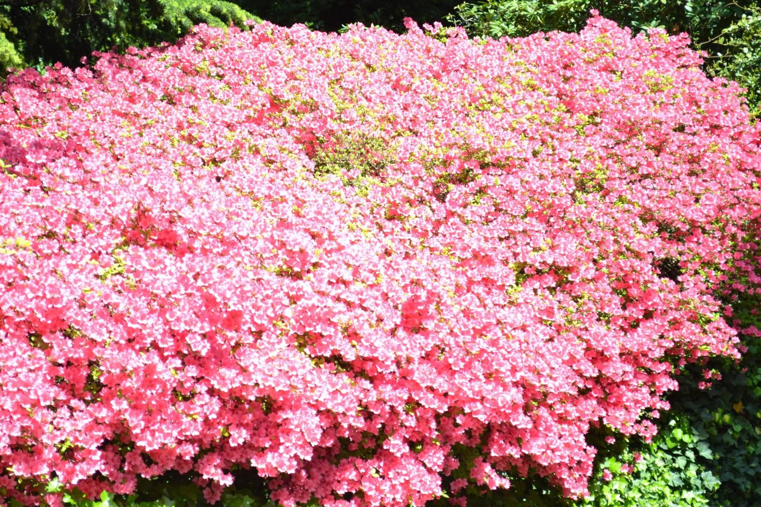 Other in Hotel Canturio