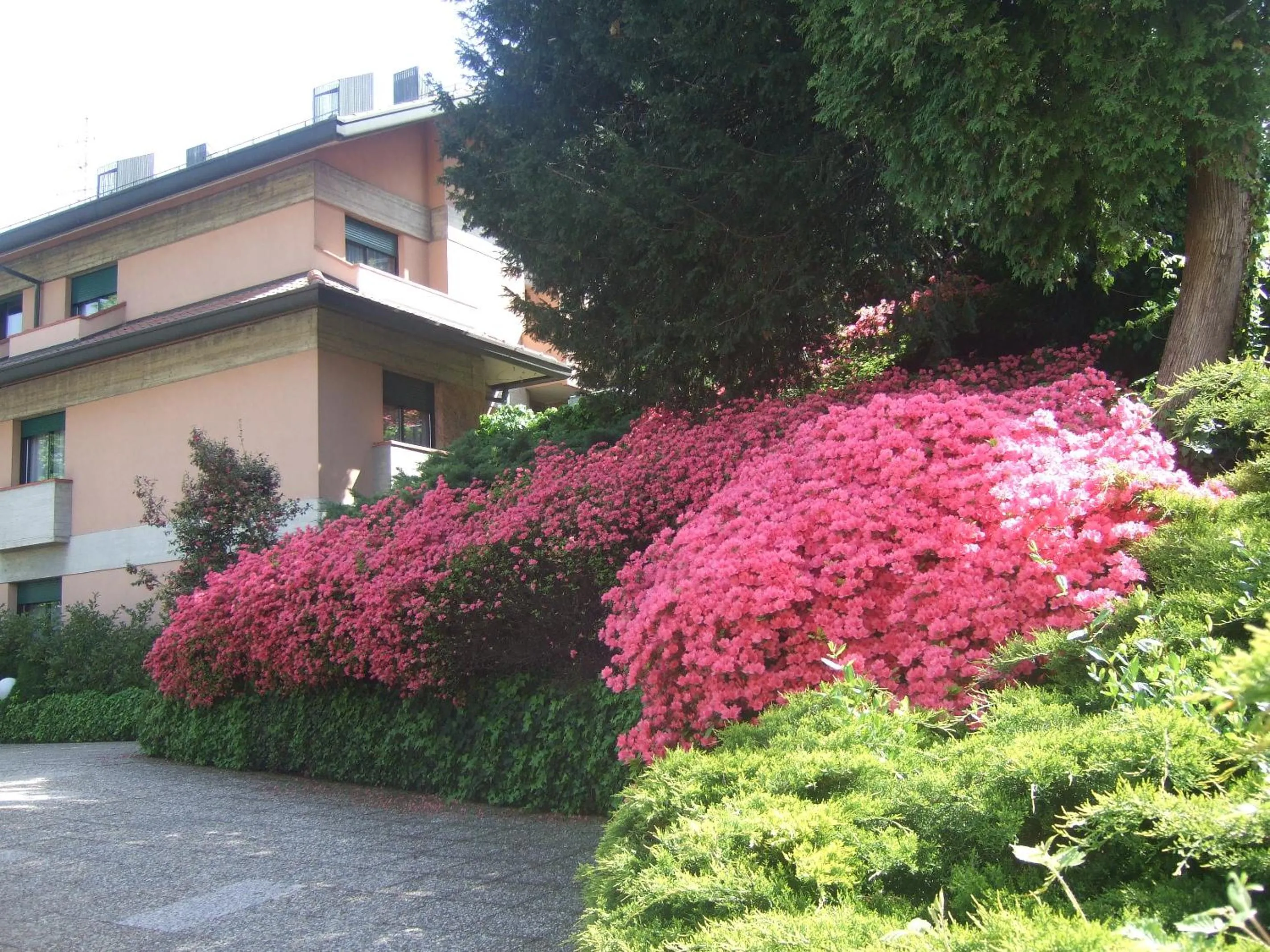 Decorative detail in Hotel Canturio