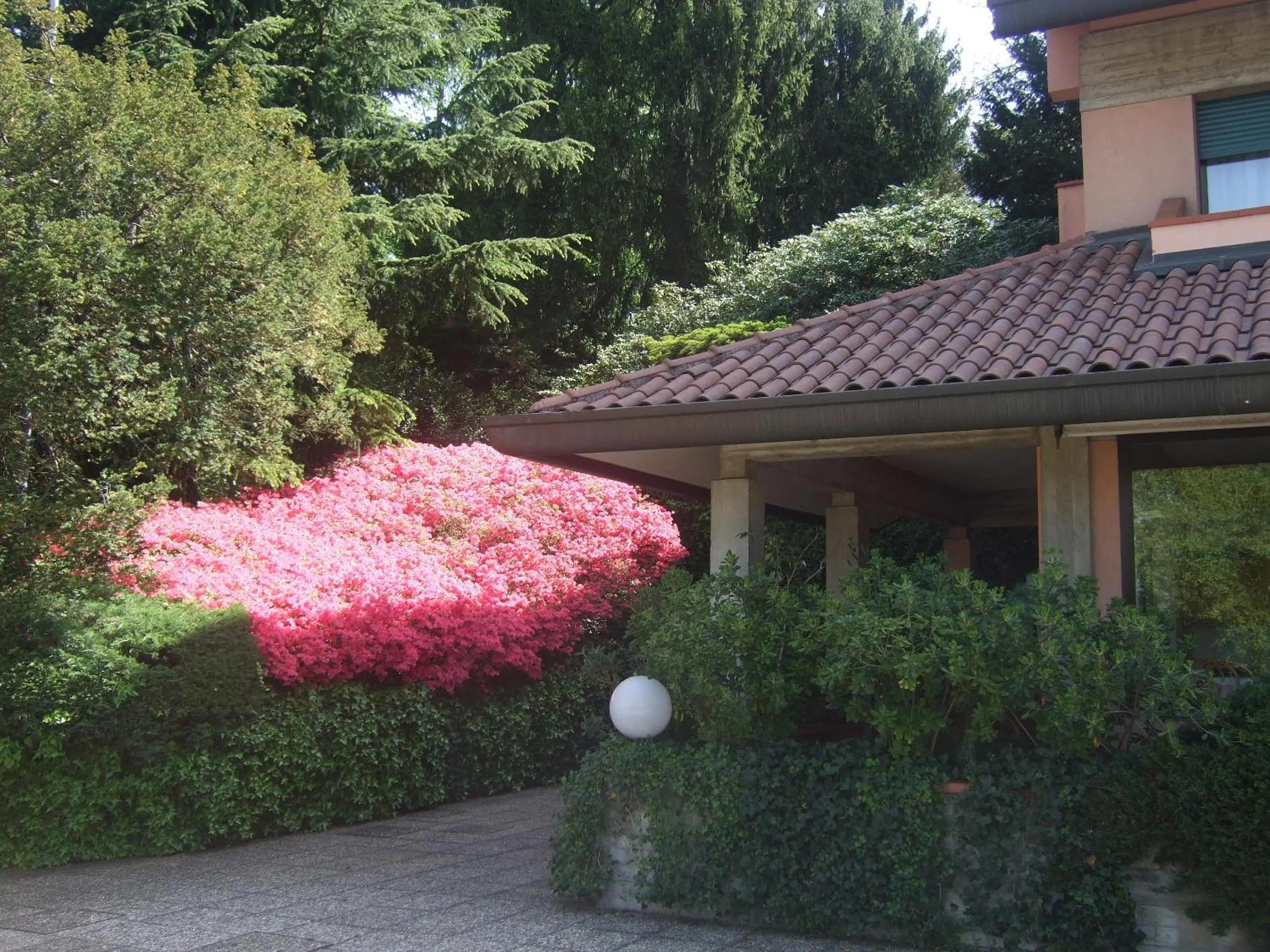 Day in Hotel Canturio