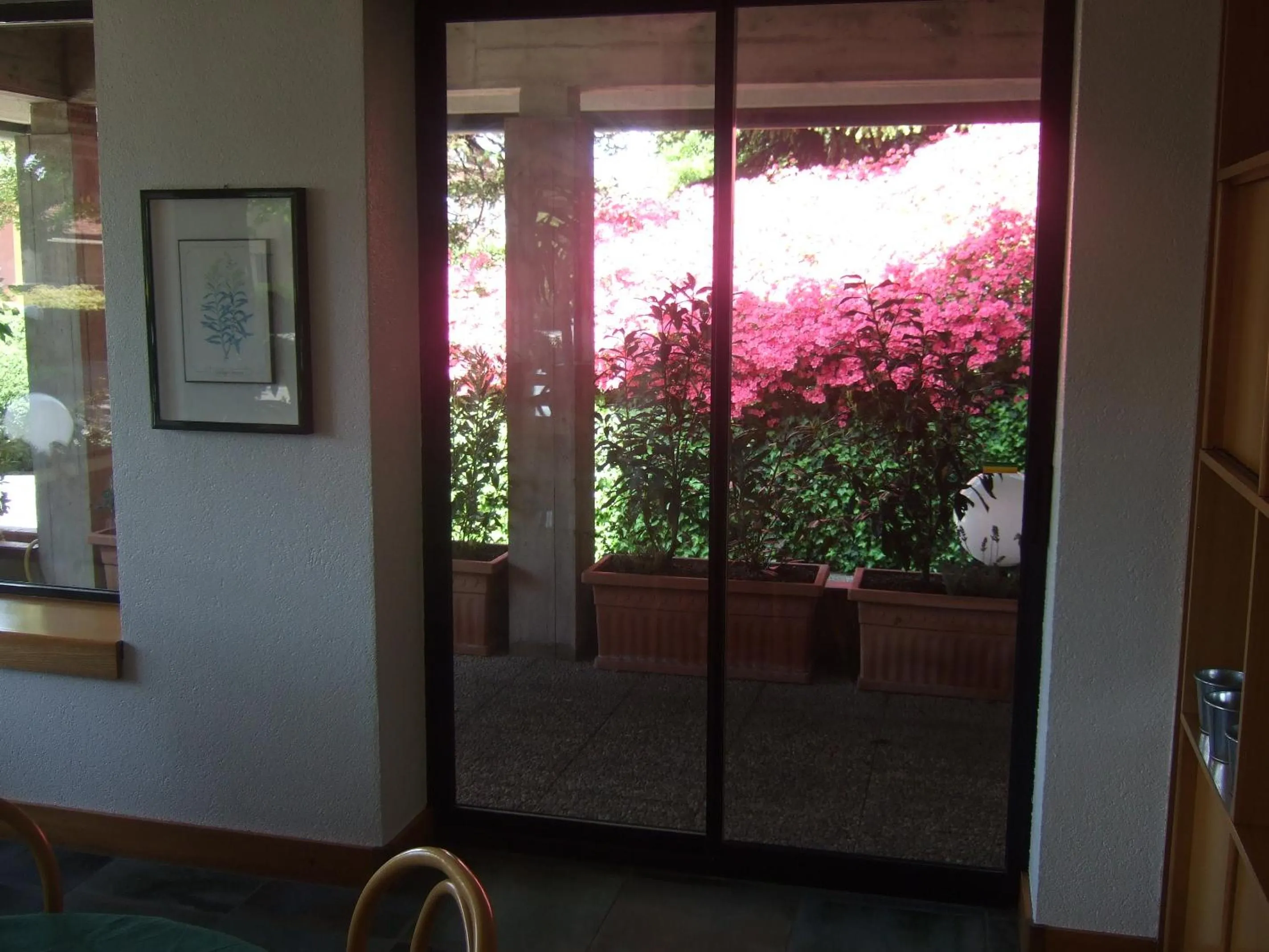 Spring in Hotel Canturio