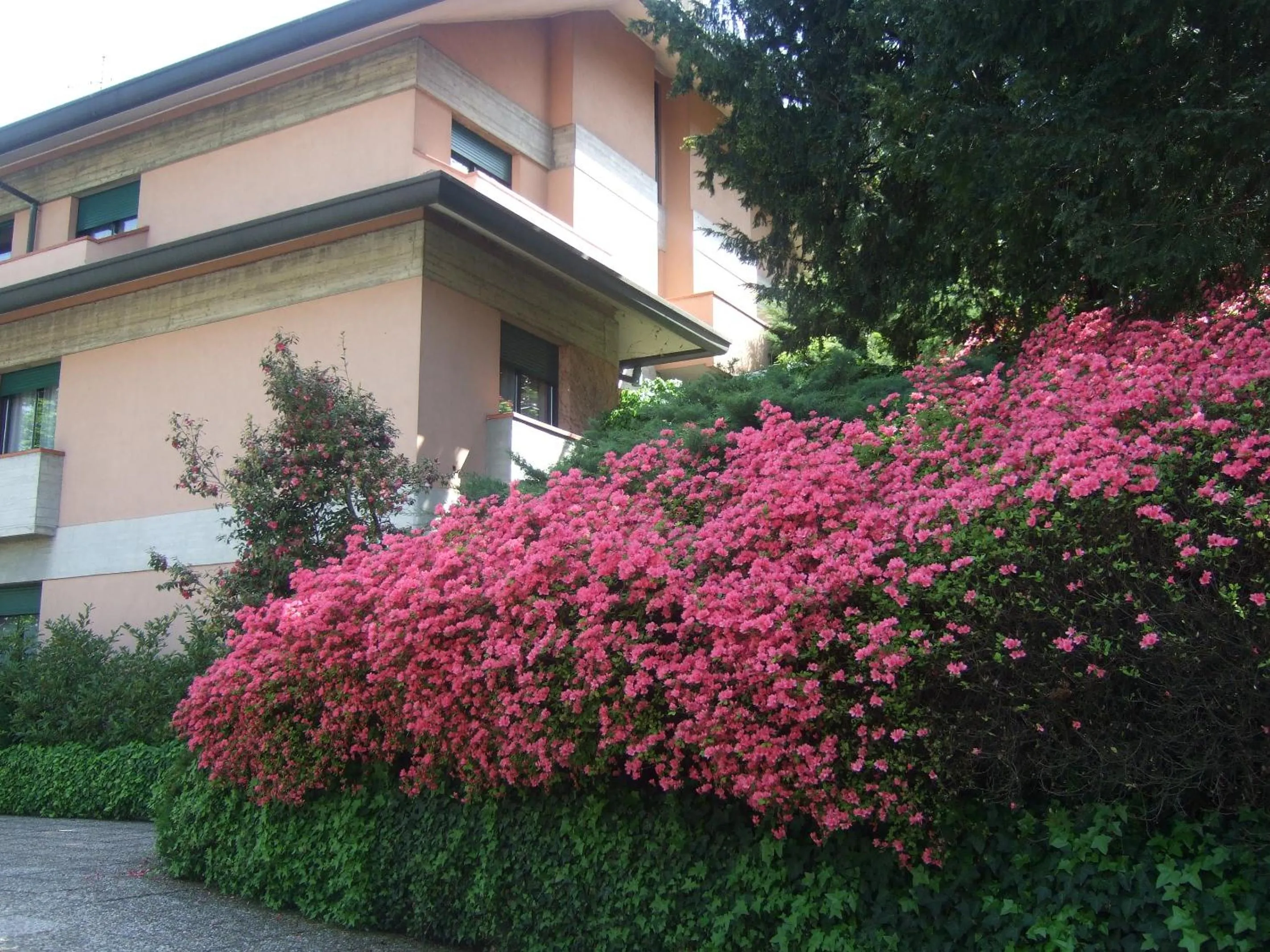 Property building in Hotel Canturio