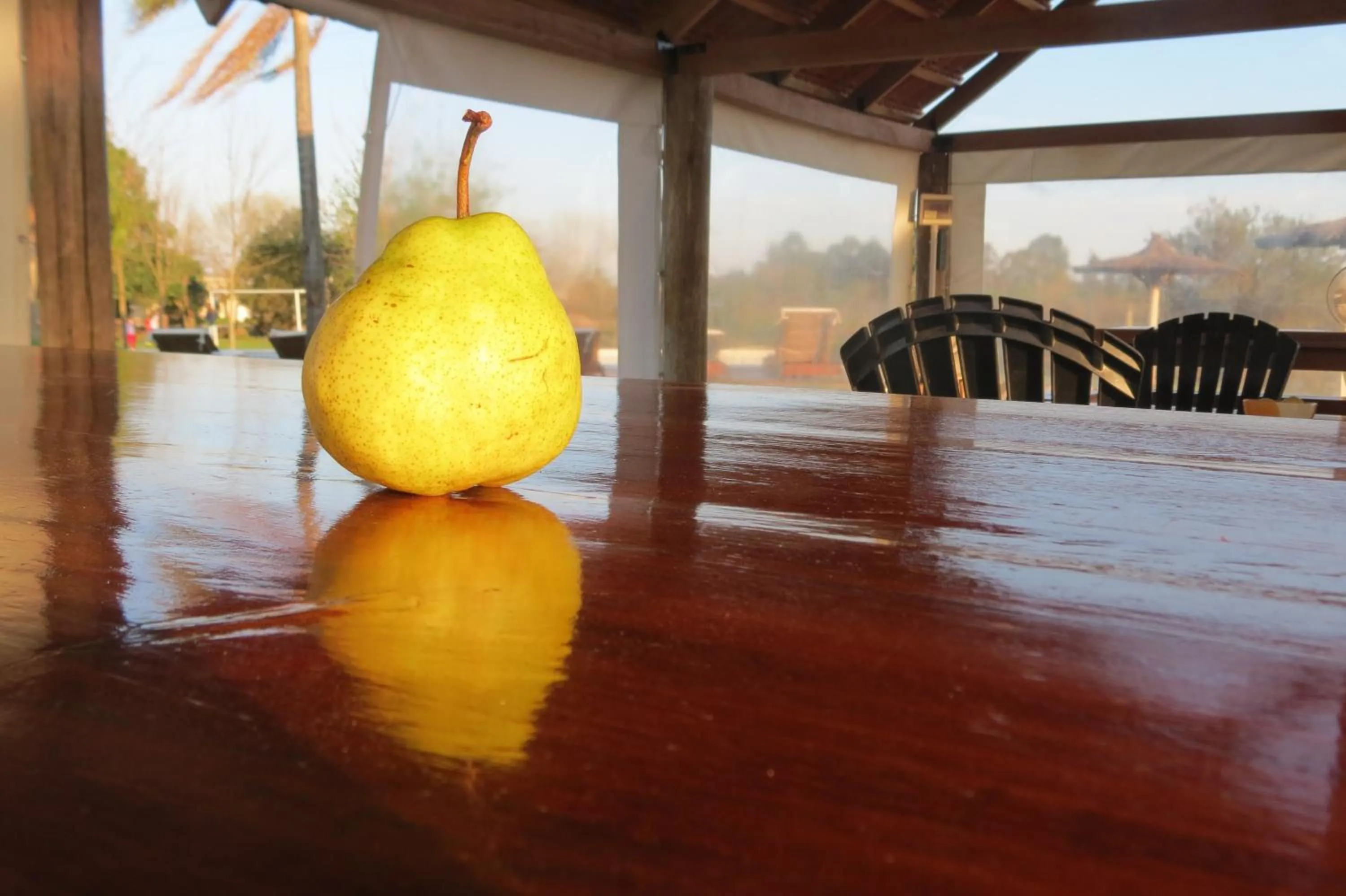 BBQ facilities in Bungalows Mexico