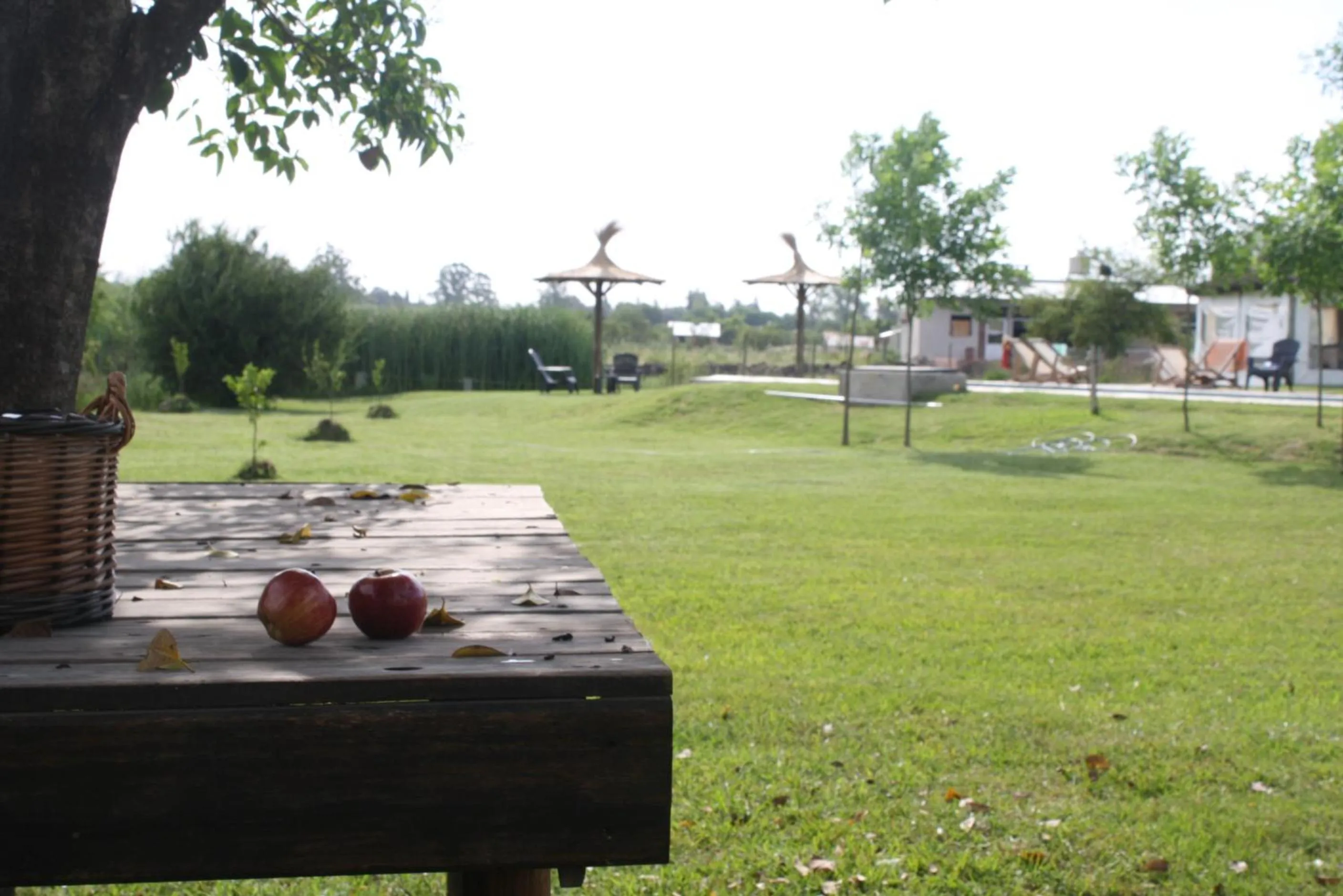 Garden in Bungalows Mexico