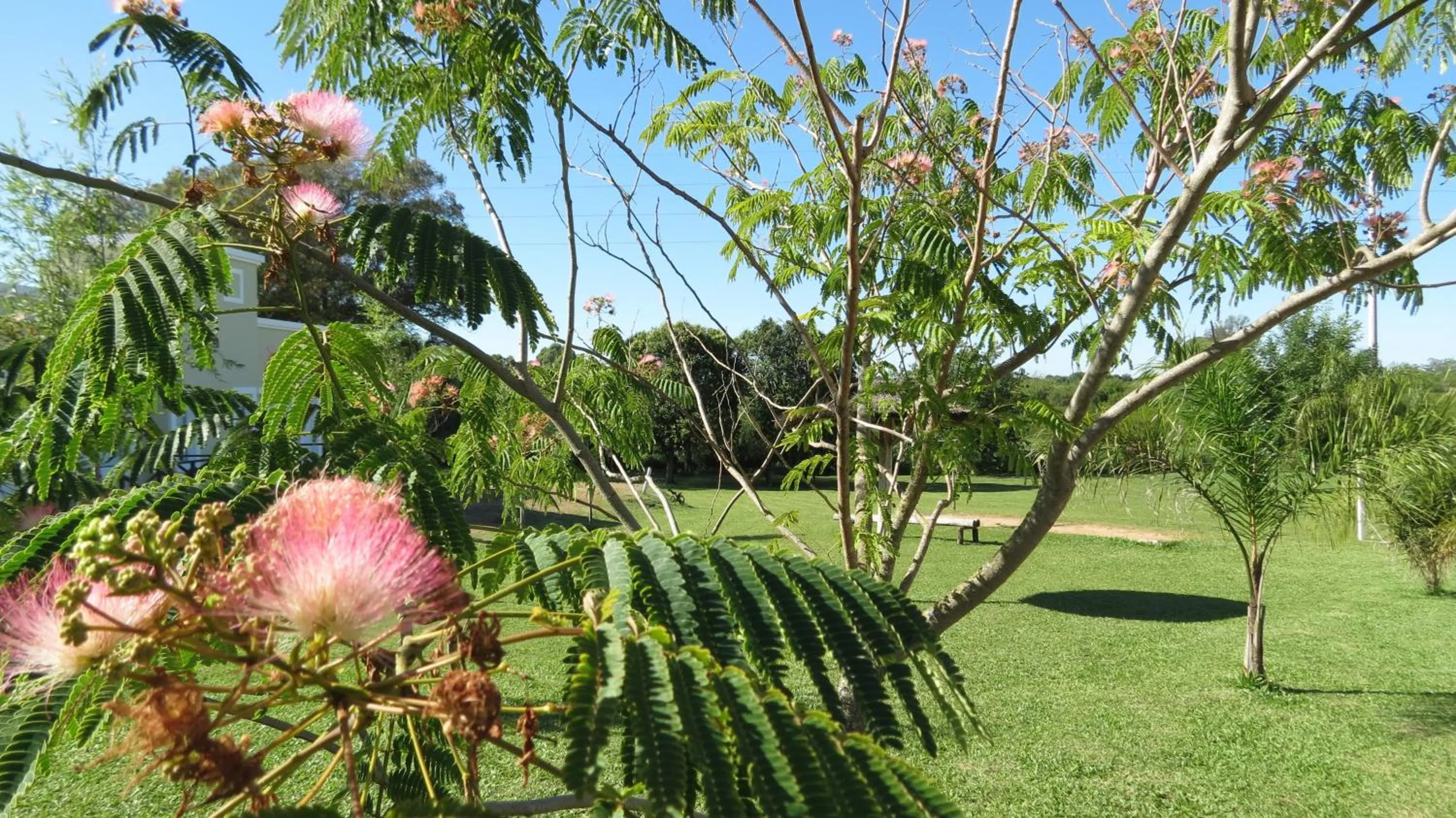 Garden in Bungalows Mexico