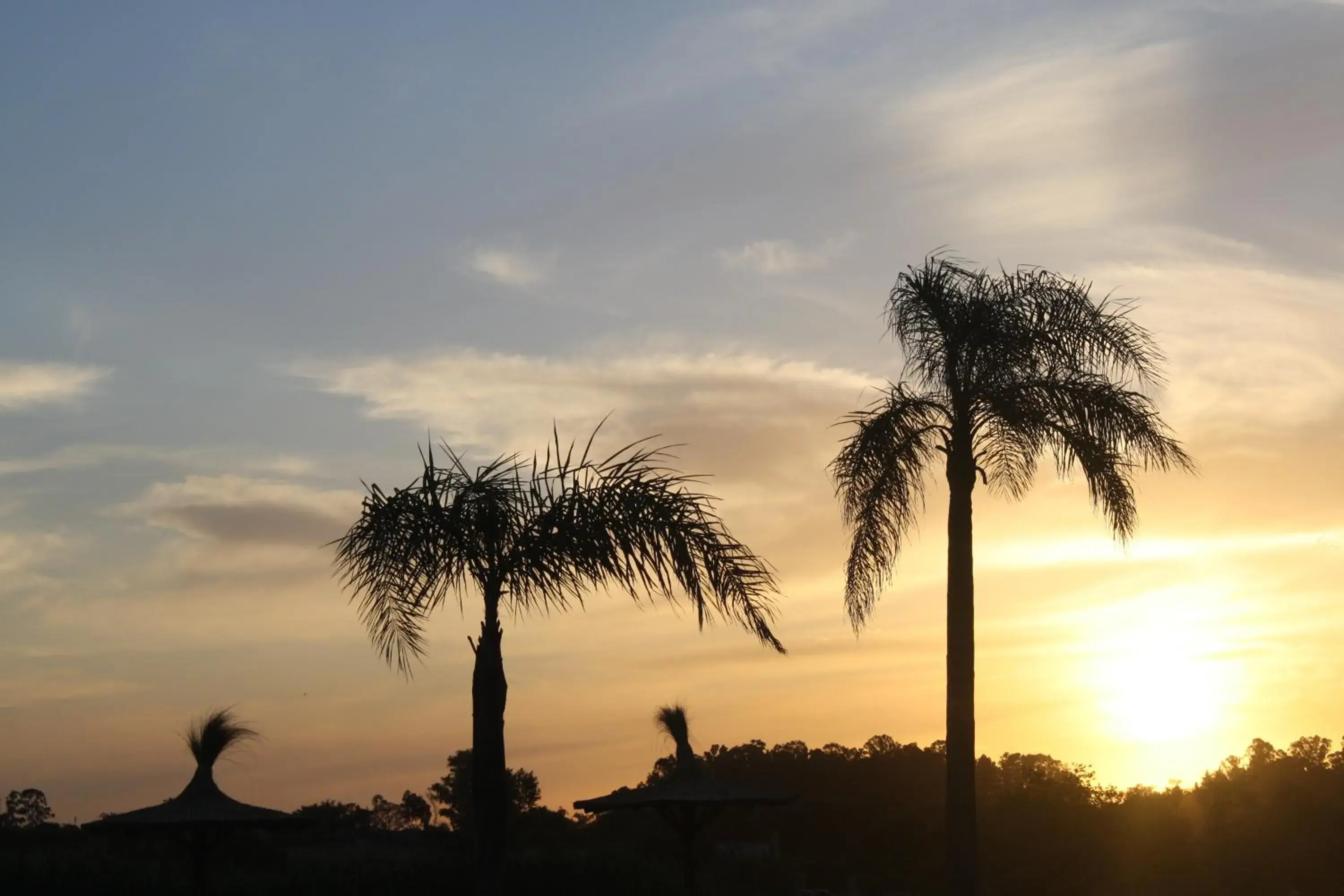 View (from property/room) in Bungalows Mexico View (from property/room) in Bungalows Mexico