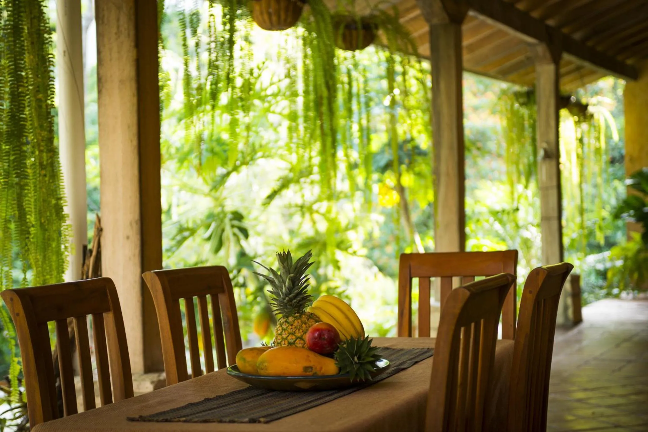 Restaurant/places to eat in La Villa de Soledad