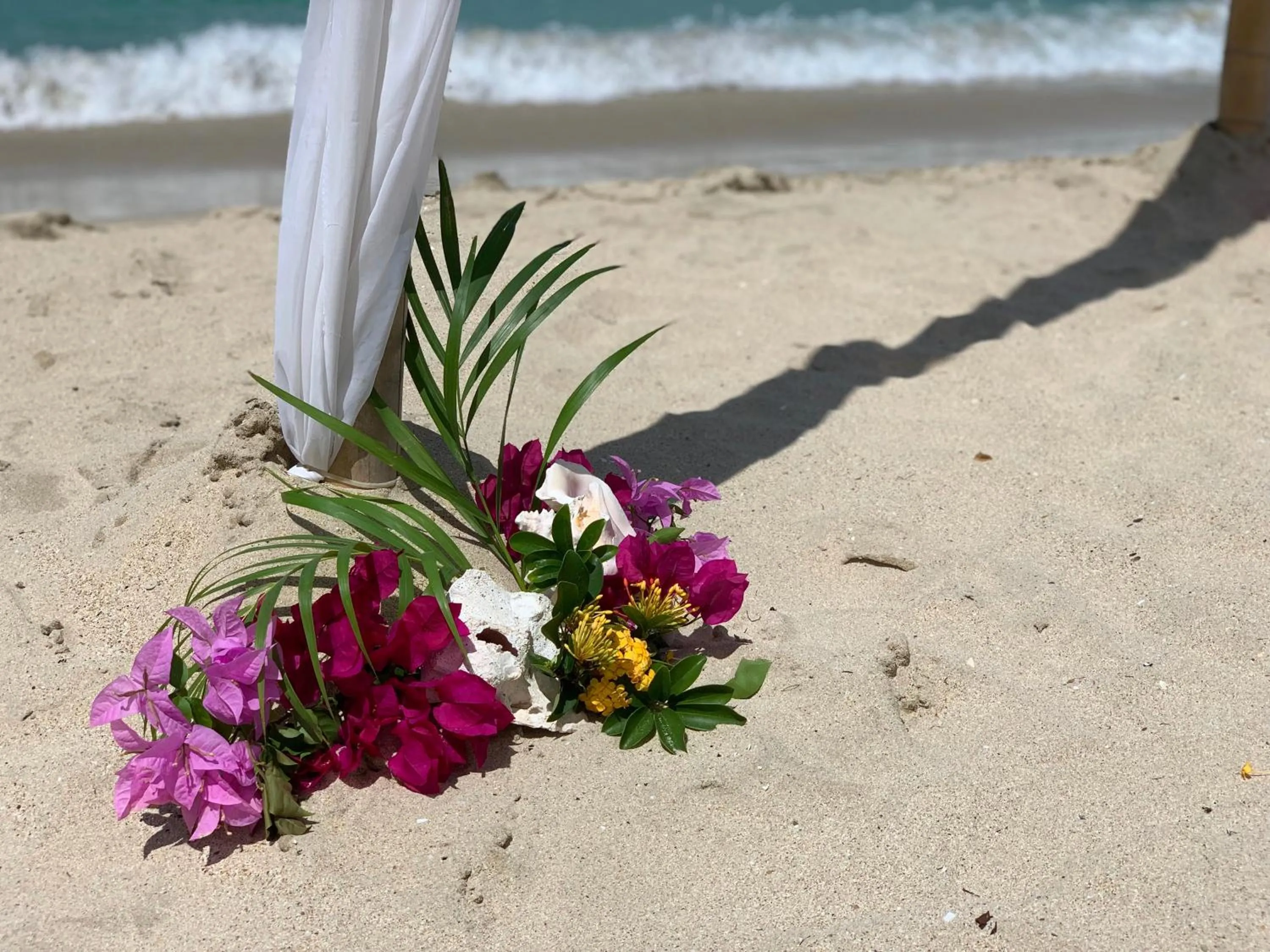 Beach in Emerald Beach Resort