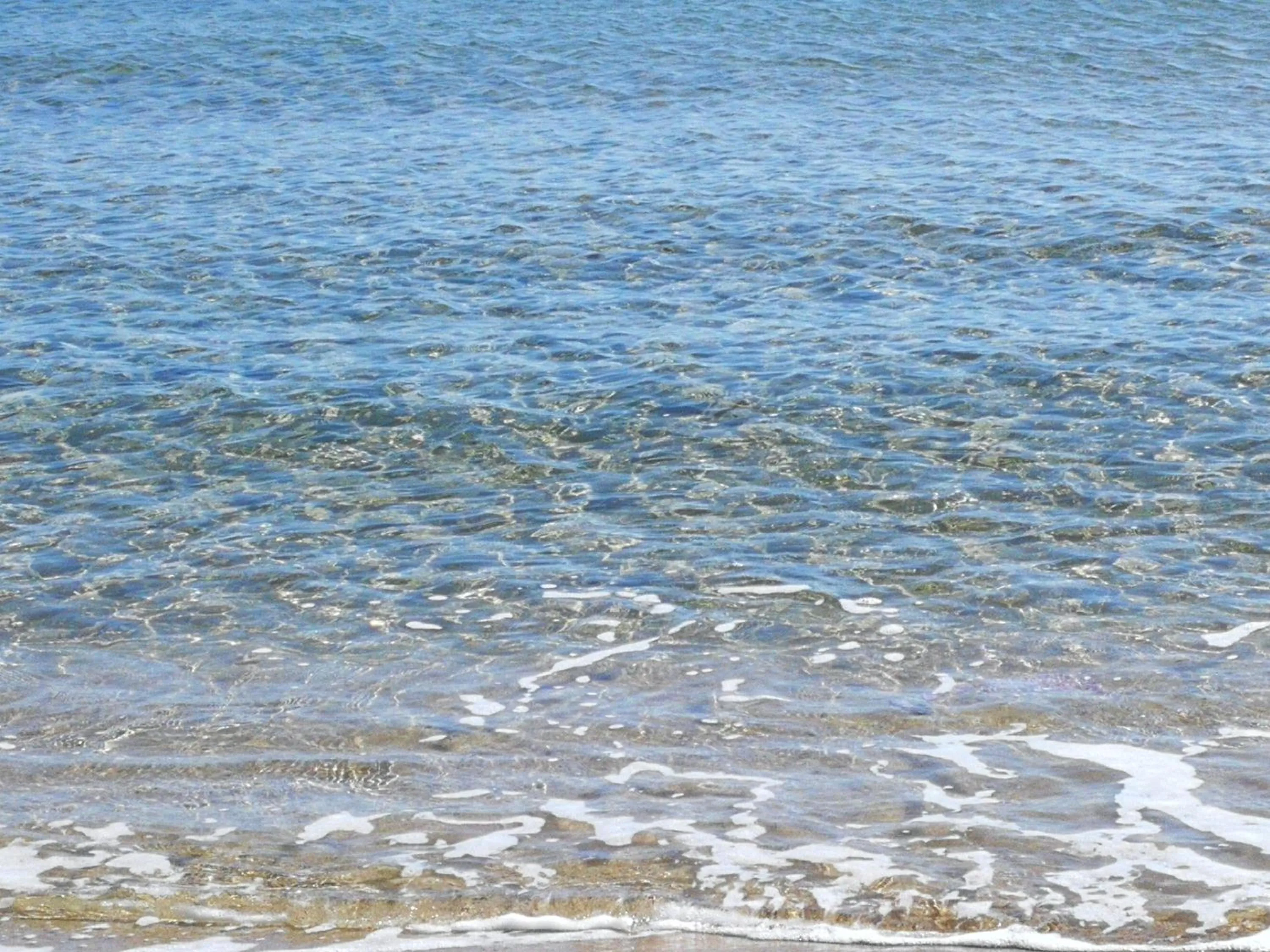 Beach in Mood's Home