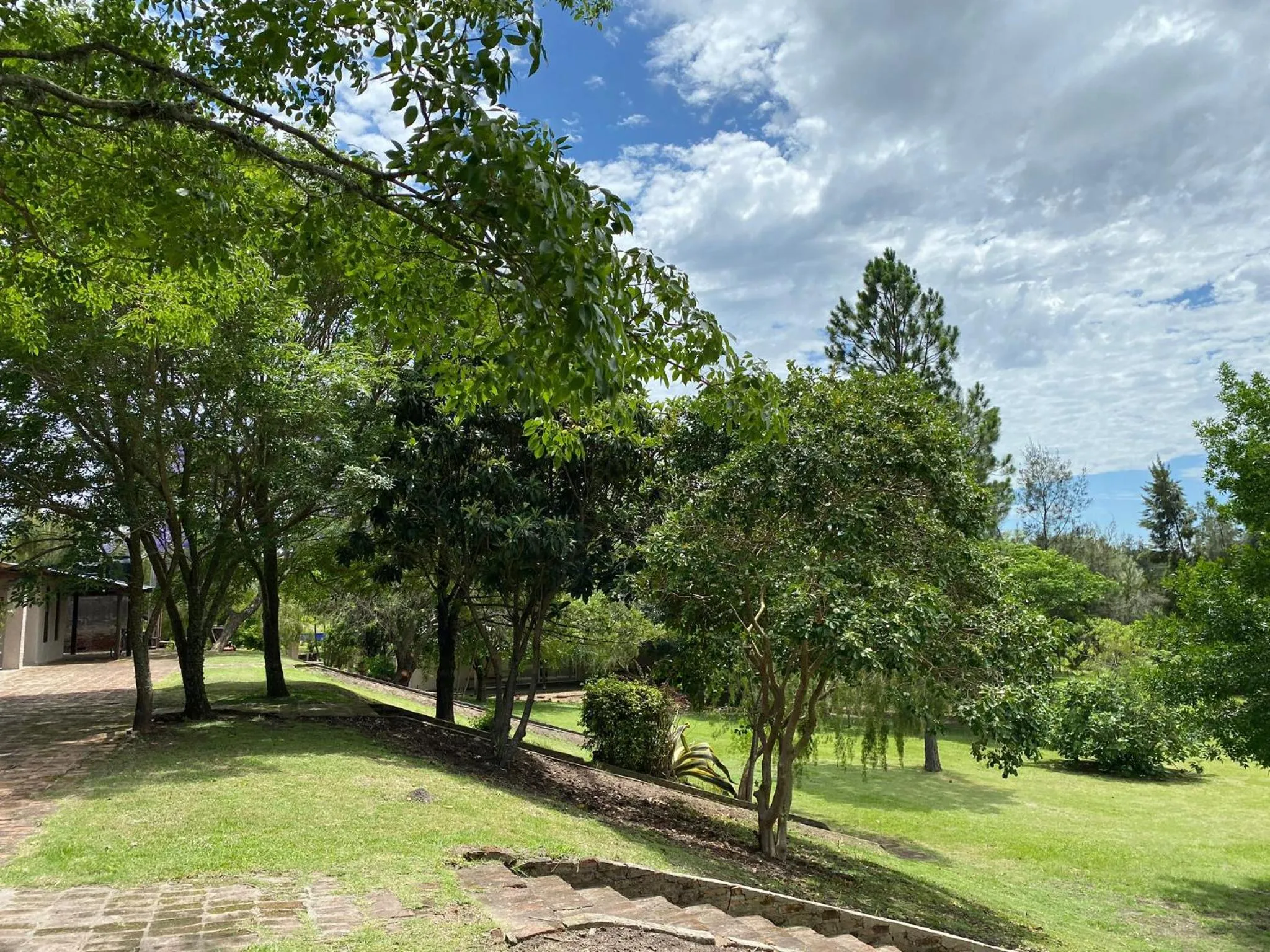 Natural landscape in Hotel La Castellana