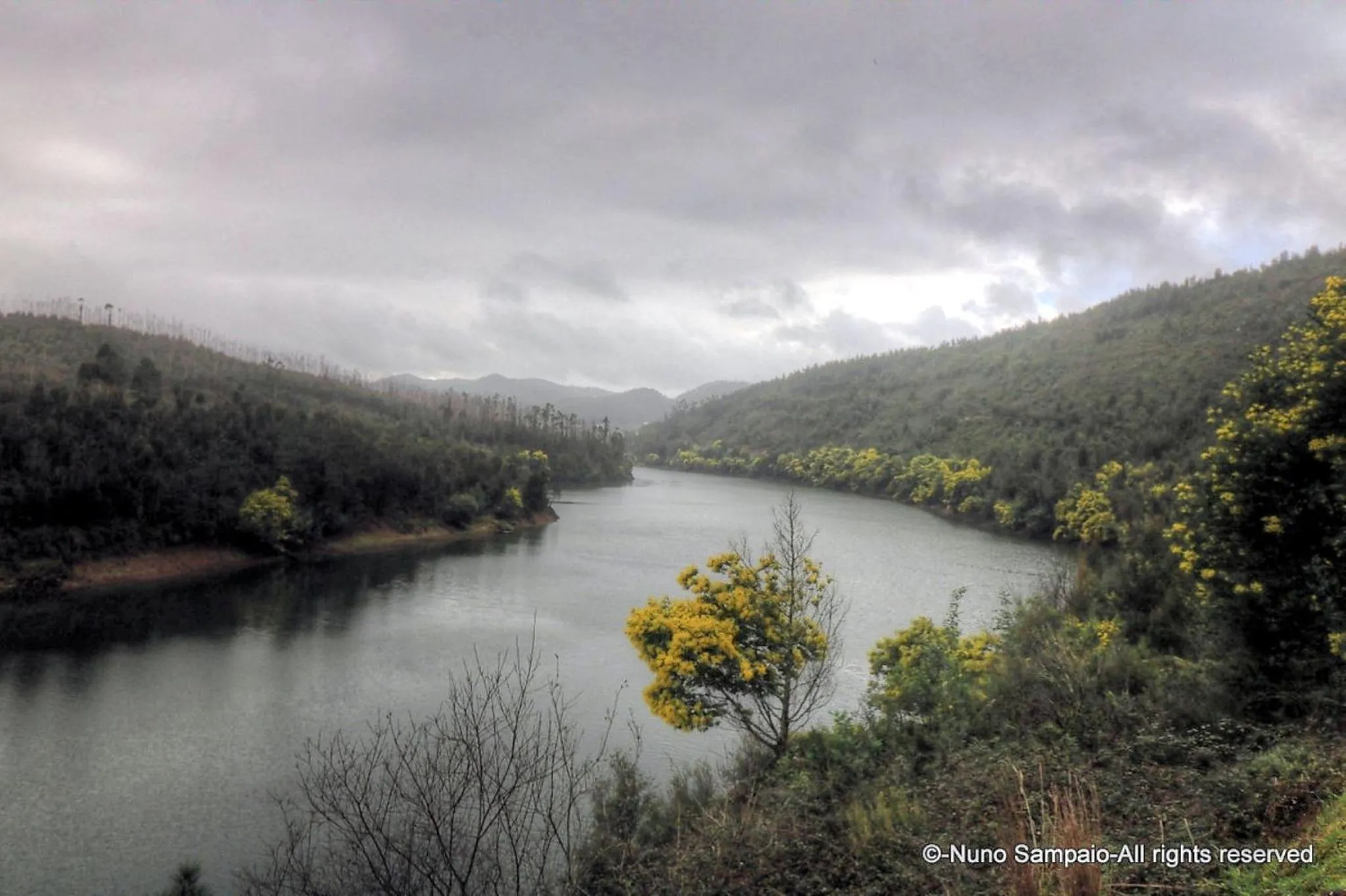 Natural landscape in Hotel Rota Malhoa