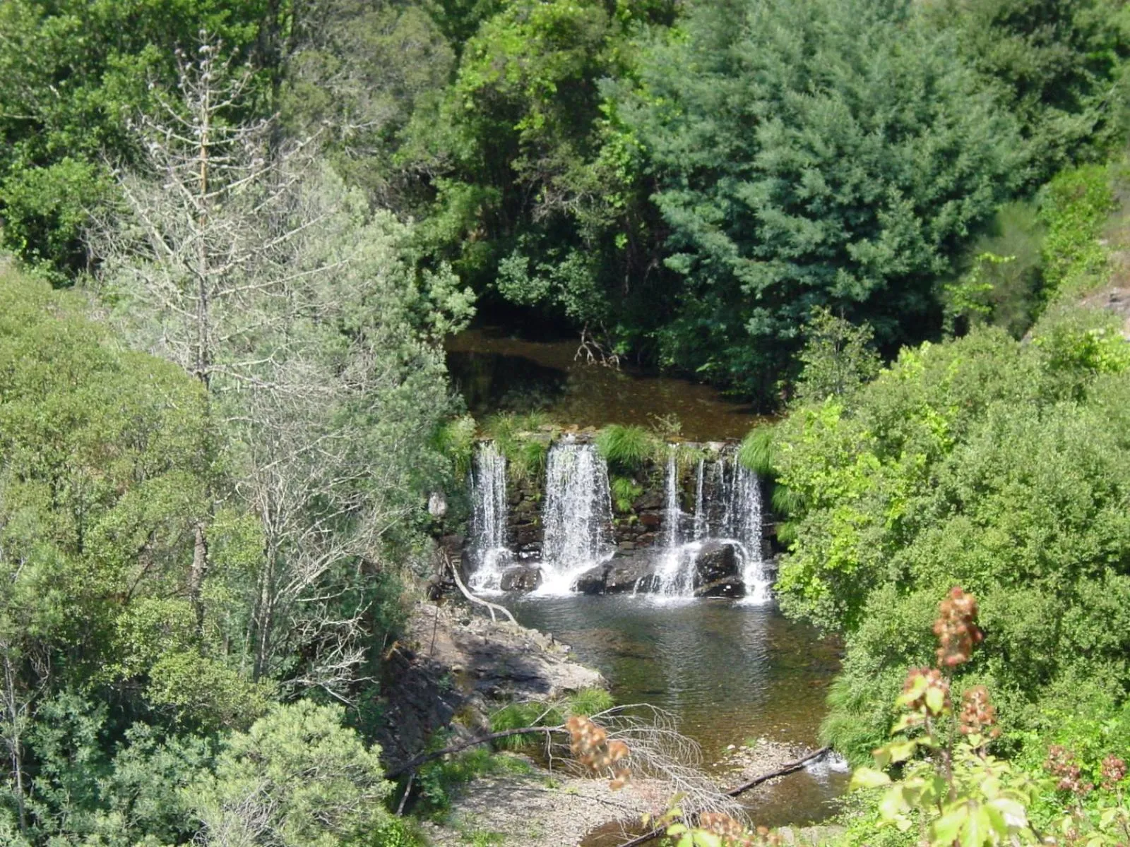 Natural landscape in Hotel Rota Malhoa