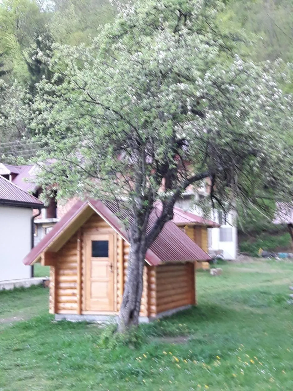 Camp &Apartmens Scepanovic