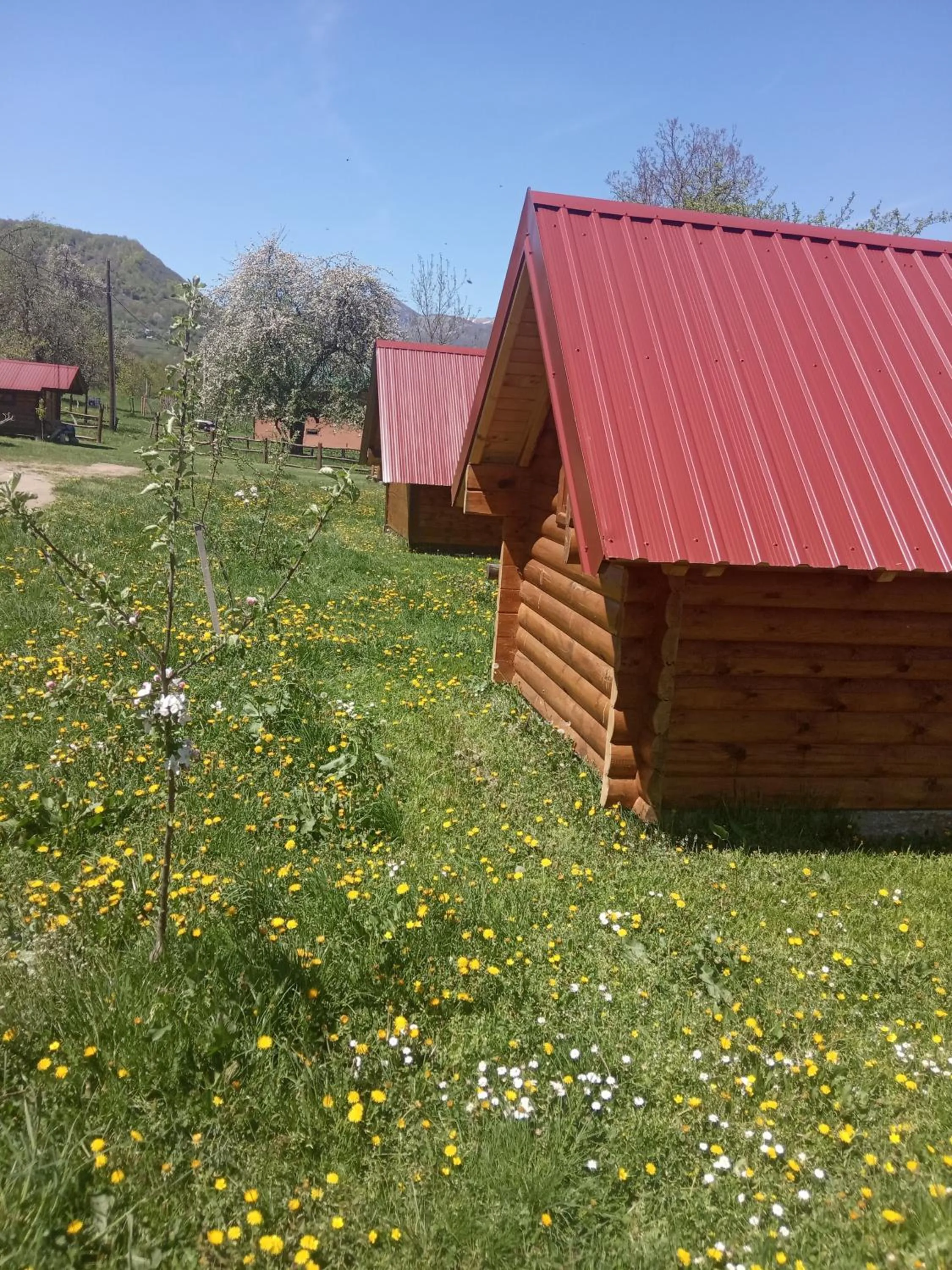 Camp &Apartmens Scepanovic