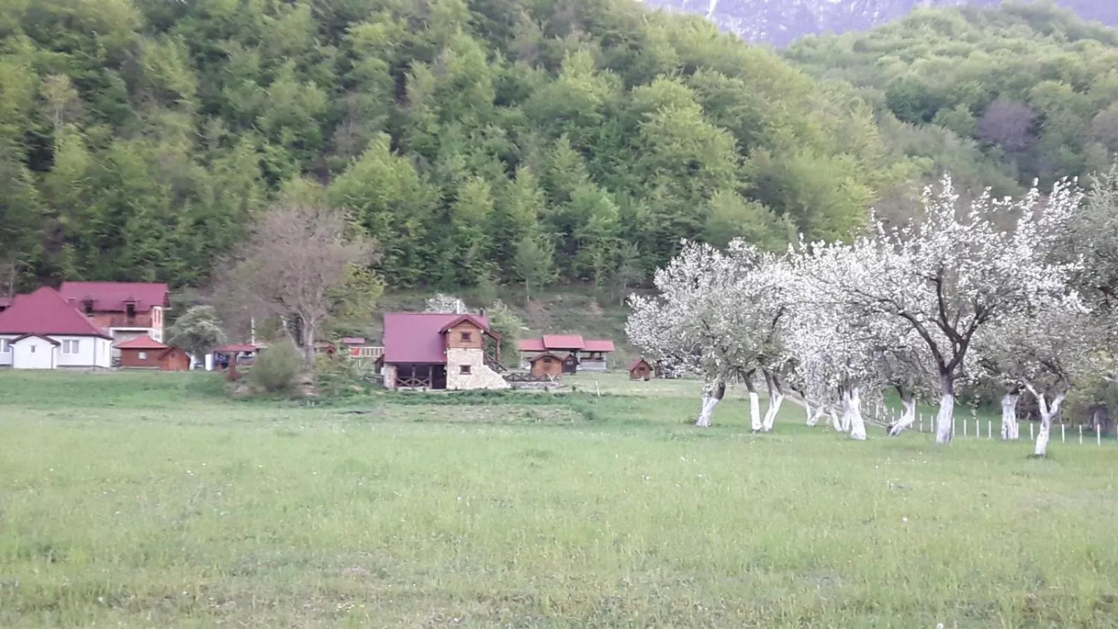 Camp &Apartmens Scepanovic