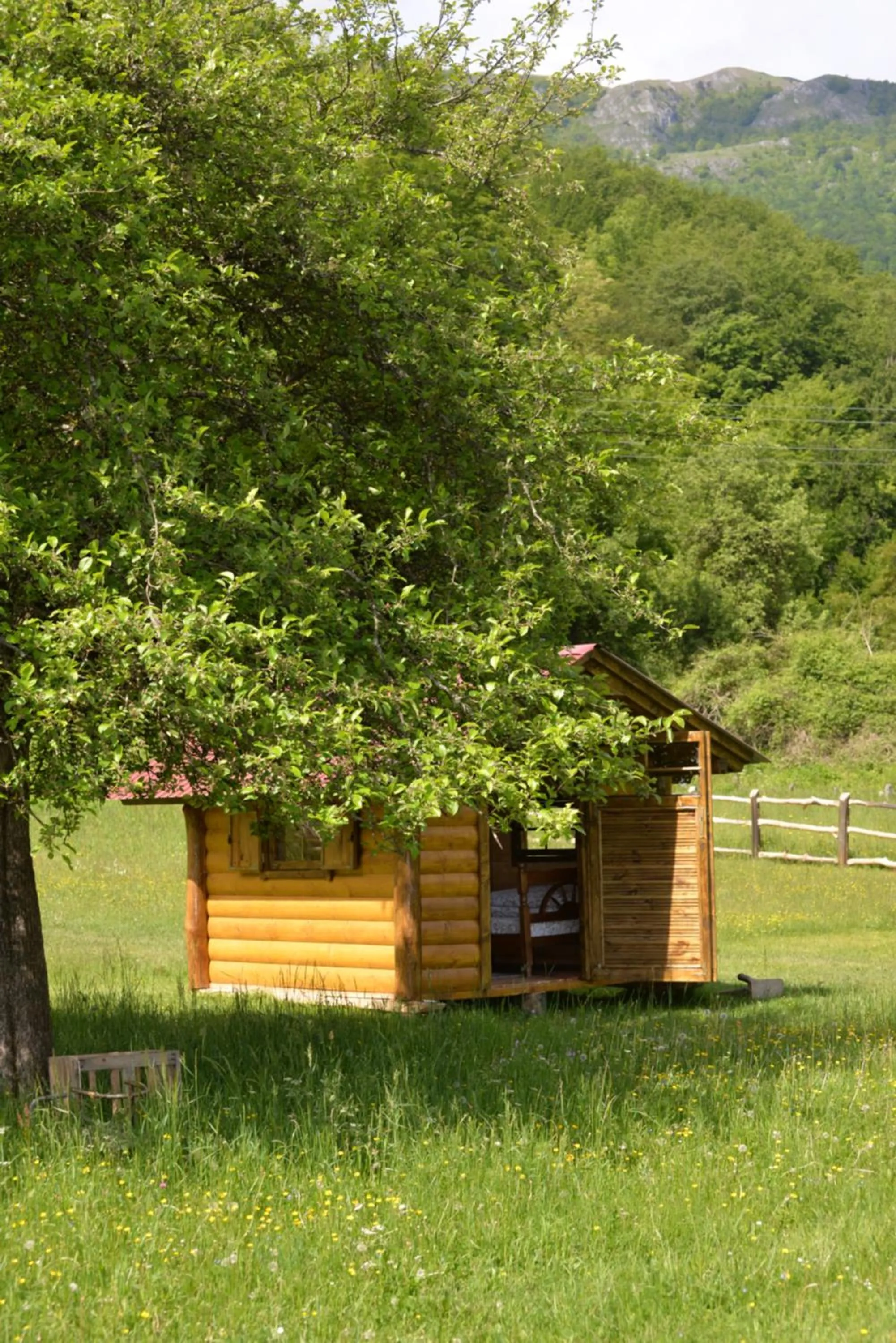 Camp &Apartmens Scepanovic