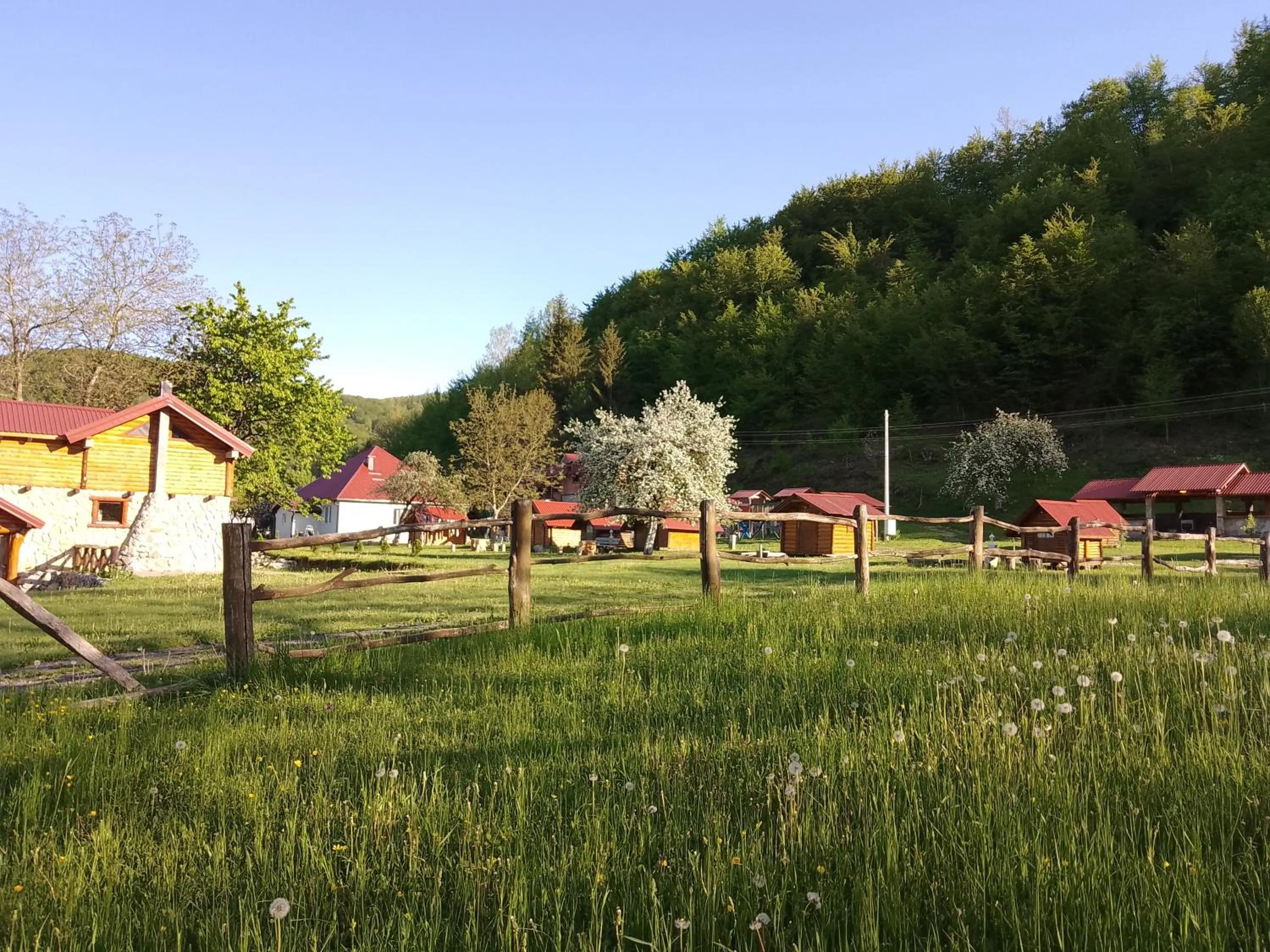 Camp &Apartmens Scepanovic