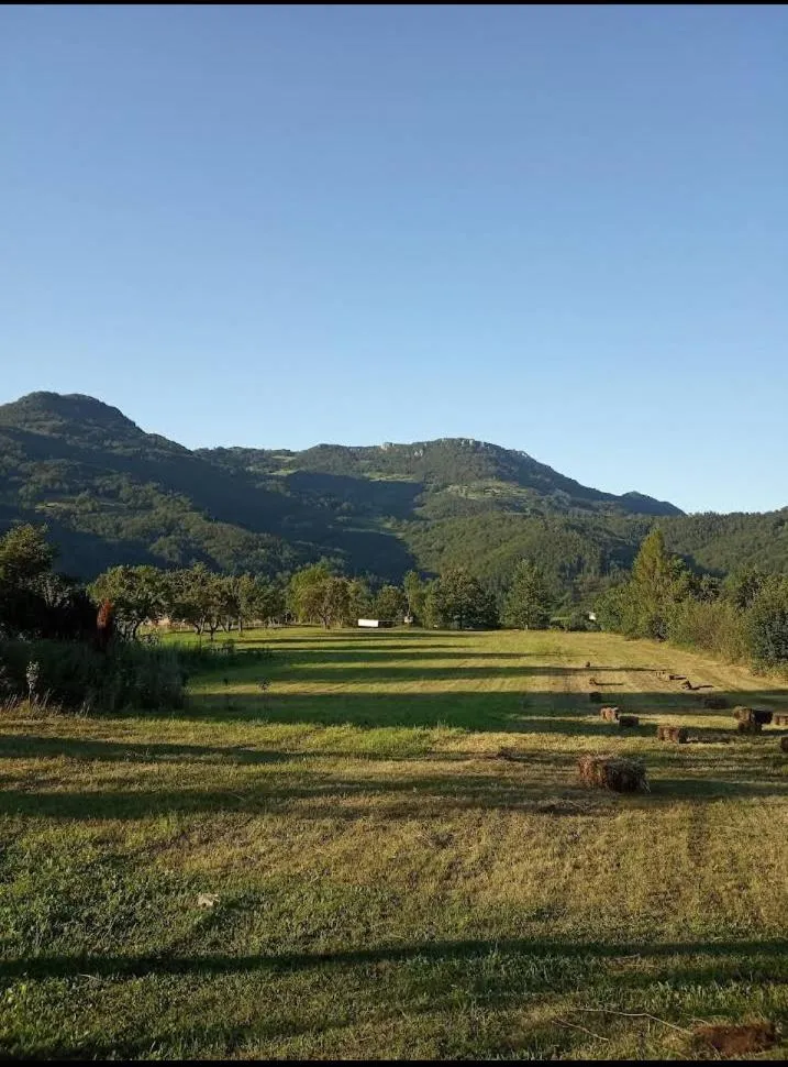 Camp &Apartmens Scepanovic