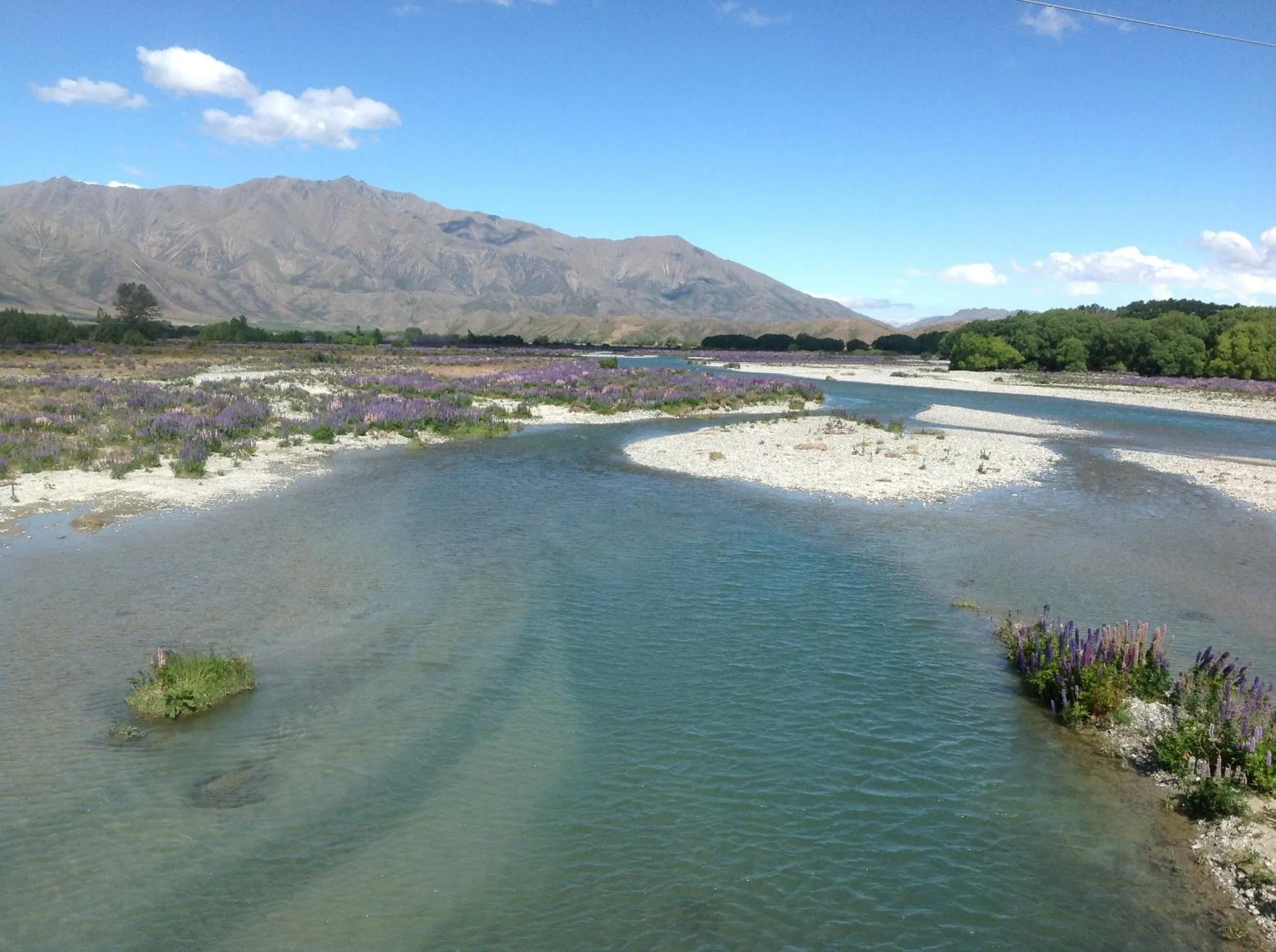 Natural landscape in Ahuriri Motels