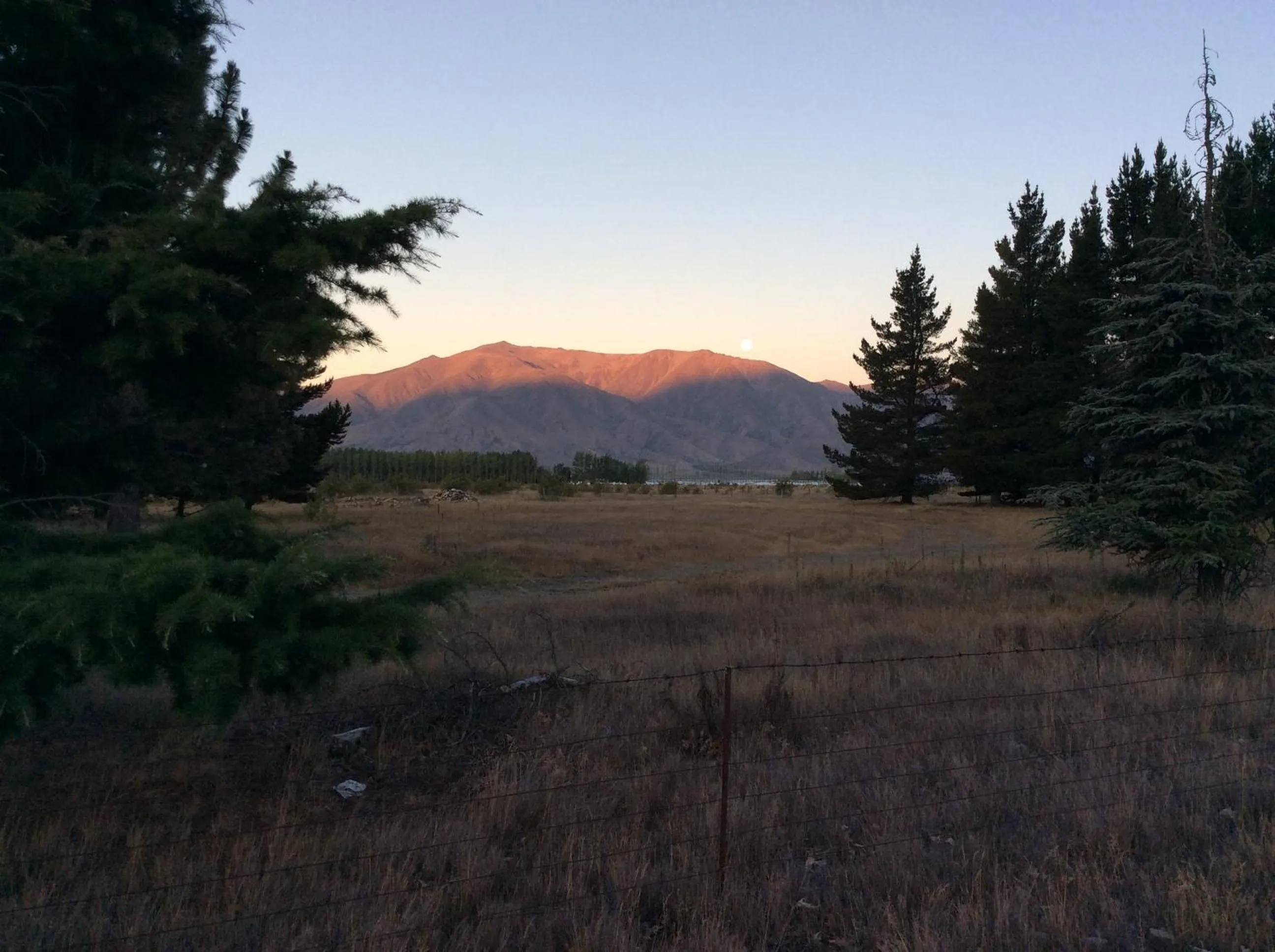 Mountain view in Ahuriri Motels
