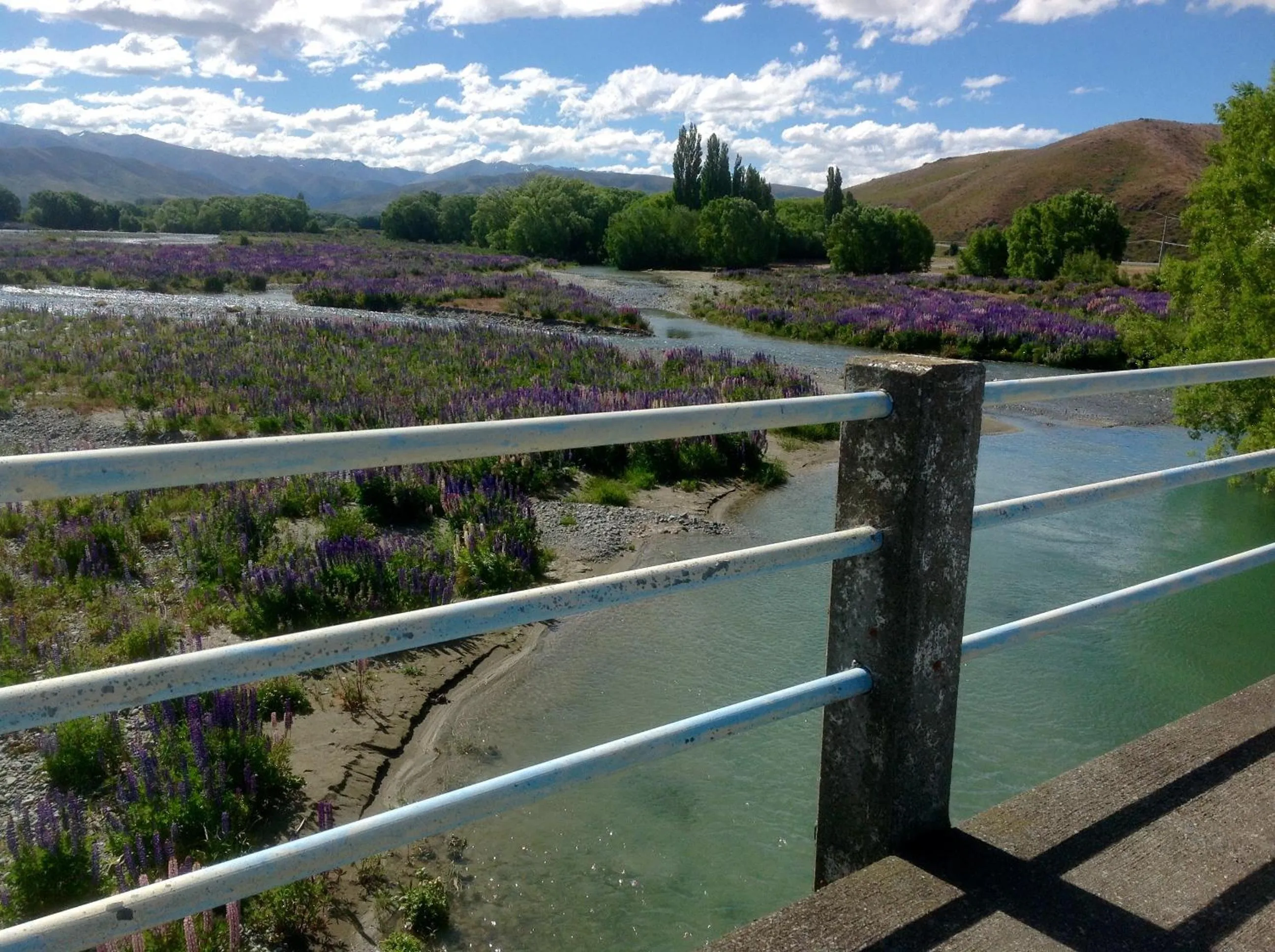 Fishing in Ahuriri Motels