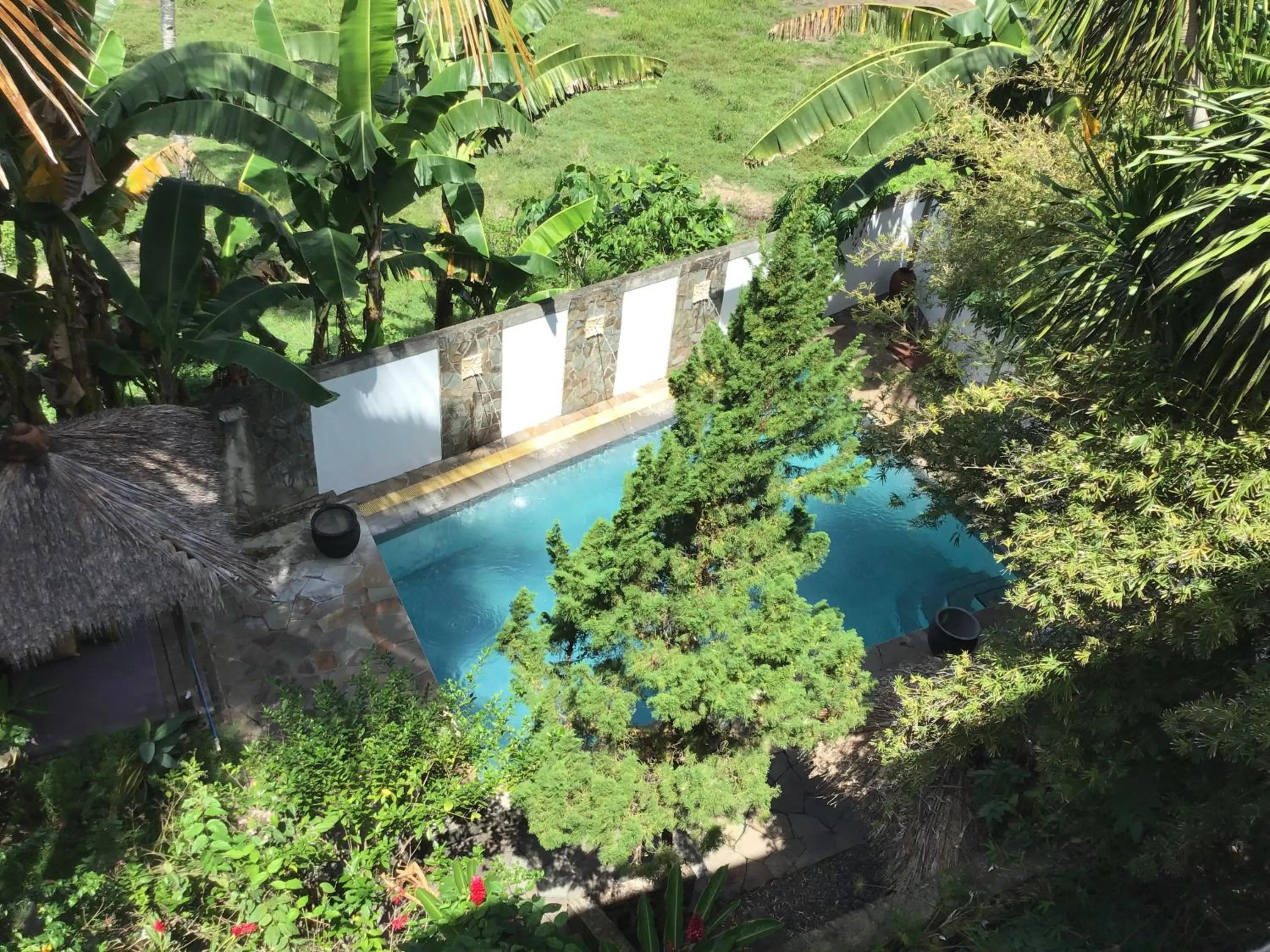 Garden view in Guesthouse The 4 Fish