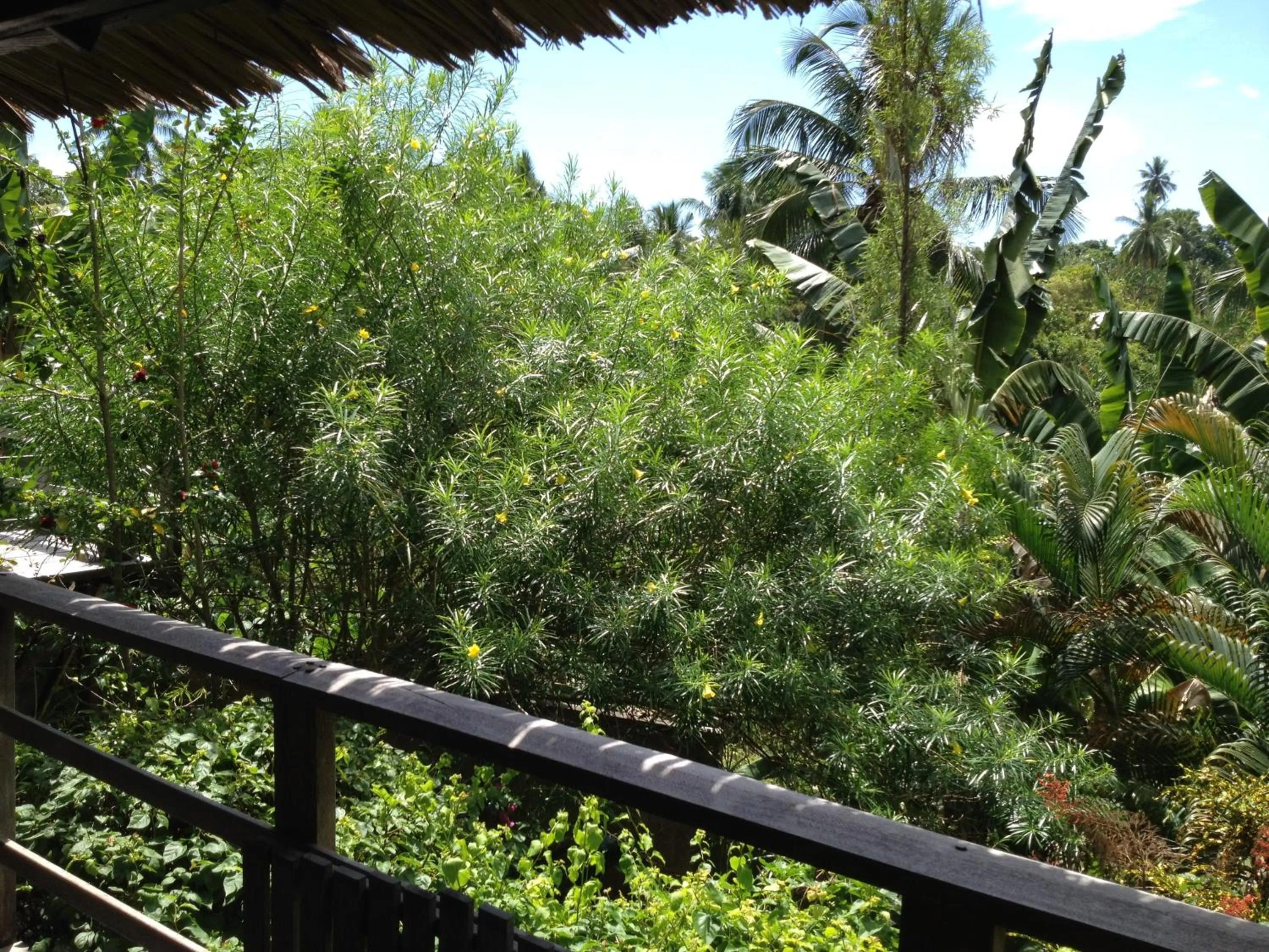 View (from property/room) in Guesthouse The 4 Fish