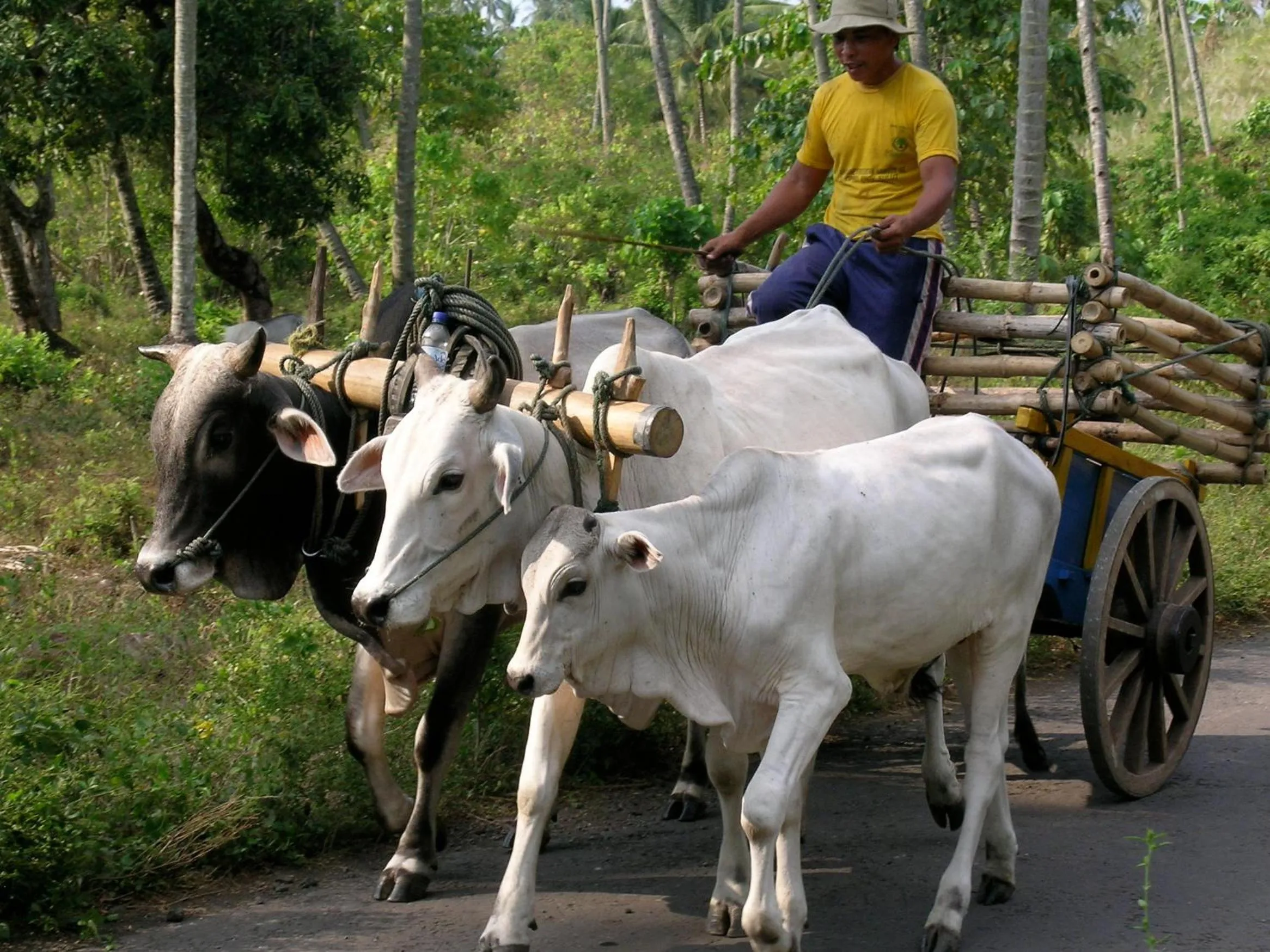 People in Guesthouse The 4 Fish
