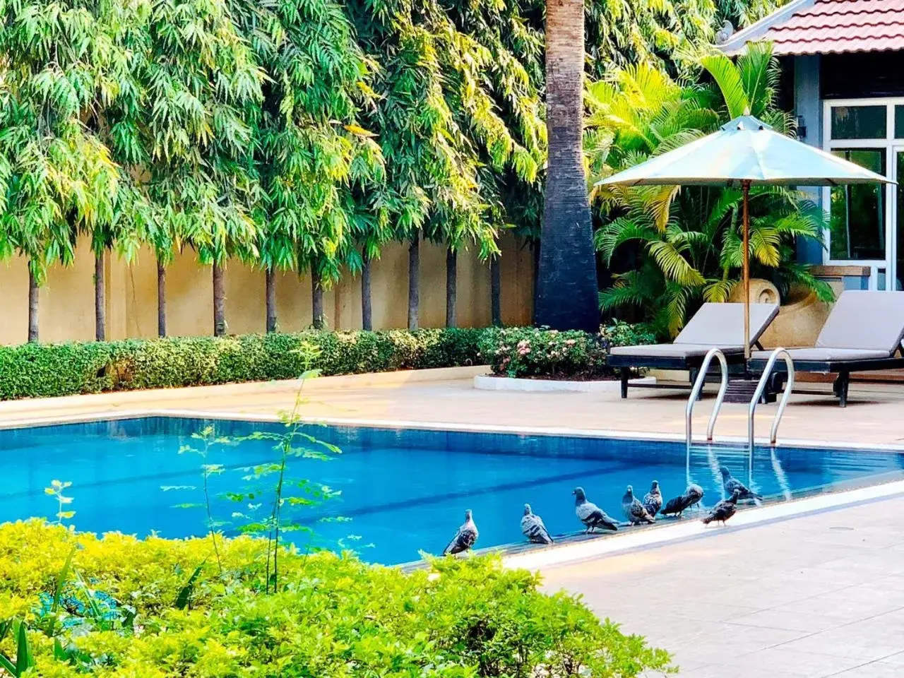 Swimming pool in Starry Angkor Hotel Swimming pool in Starry Angkor Hotel