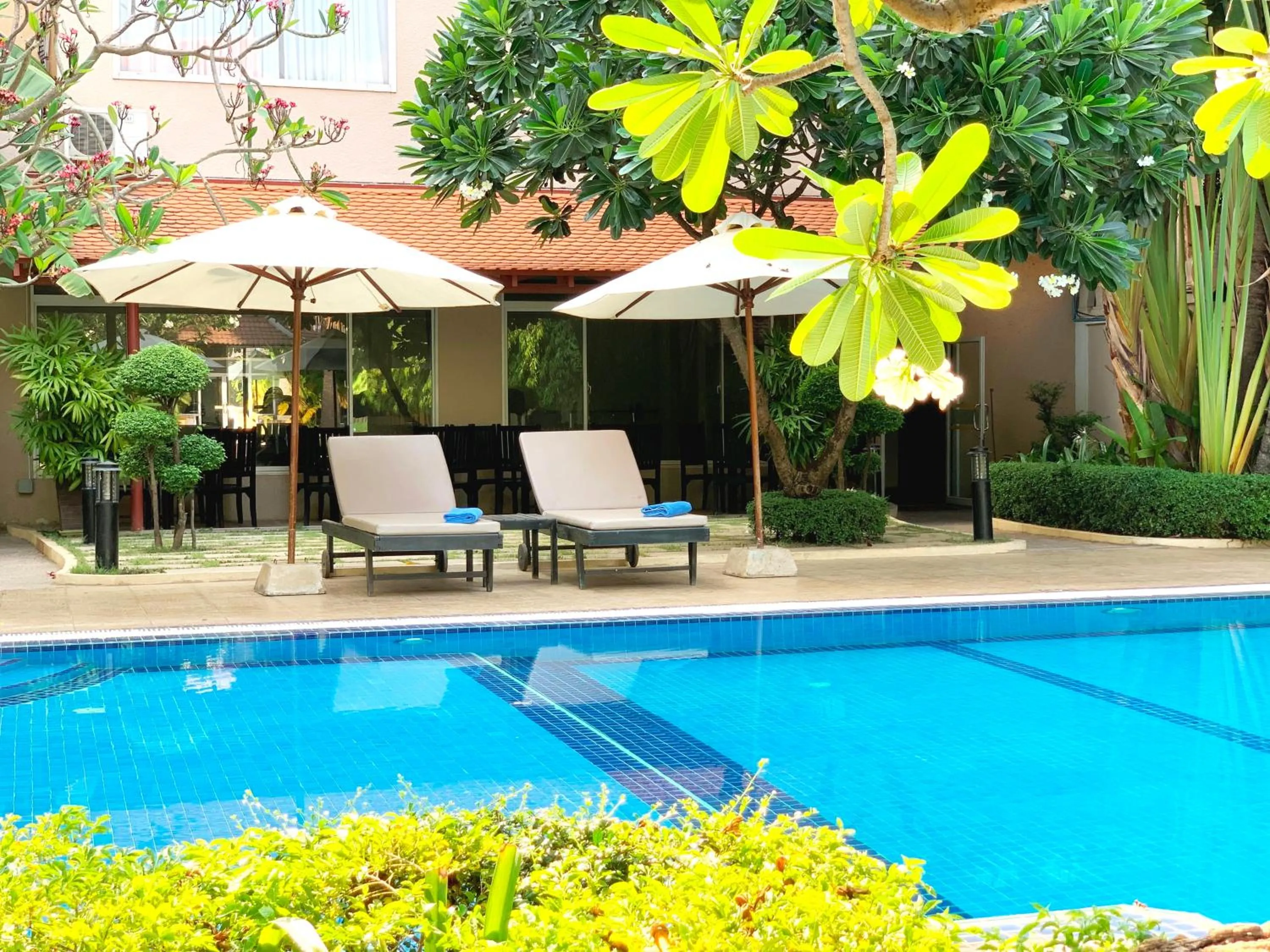 Swimming pool in Starry Angkor Hotel