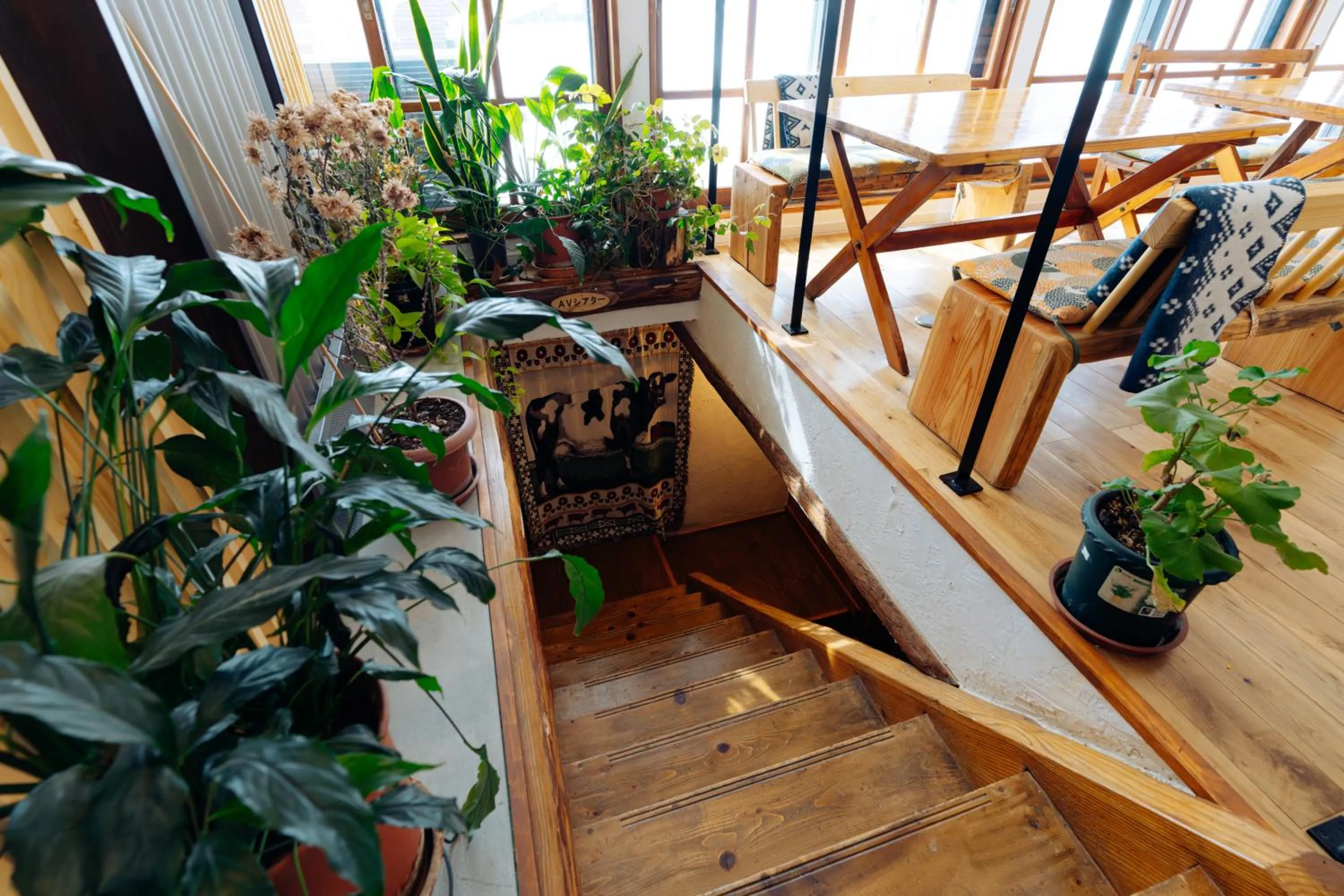 Restaurant/places to eat in Country Inn Milky House